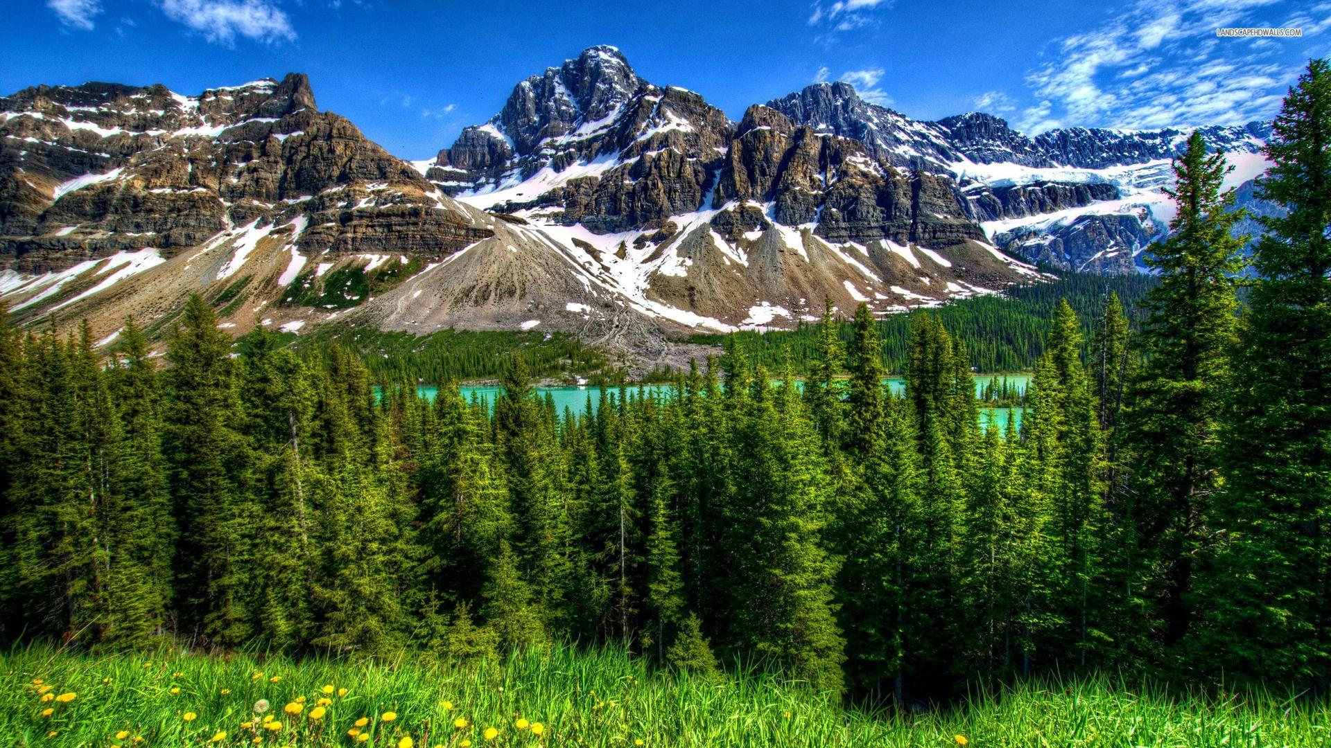 1920X1080 HD Nature Wallpapers Top Free 1920X1080 HD Nature