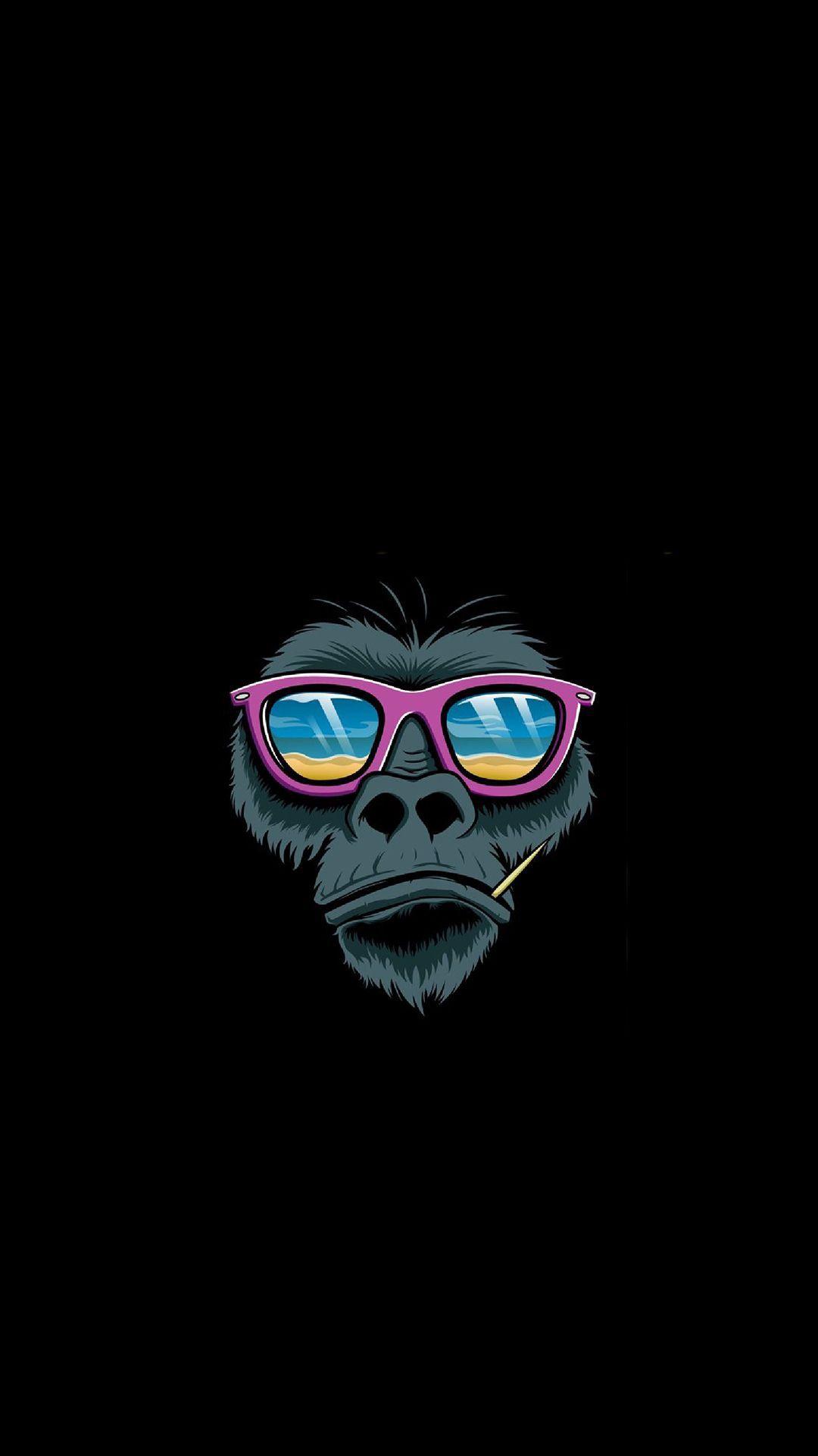 Monkey Swag Wallpapers Top Free Monkey Swag Backgrounds WallpaperAccess