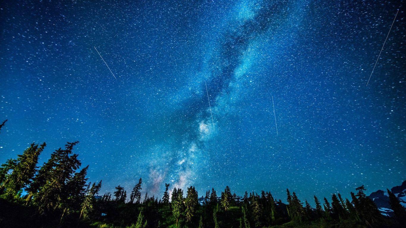 Forest Night Sky Wallpapers Top Free Forest Night Sky Backgrounds