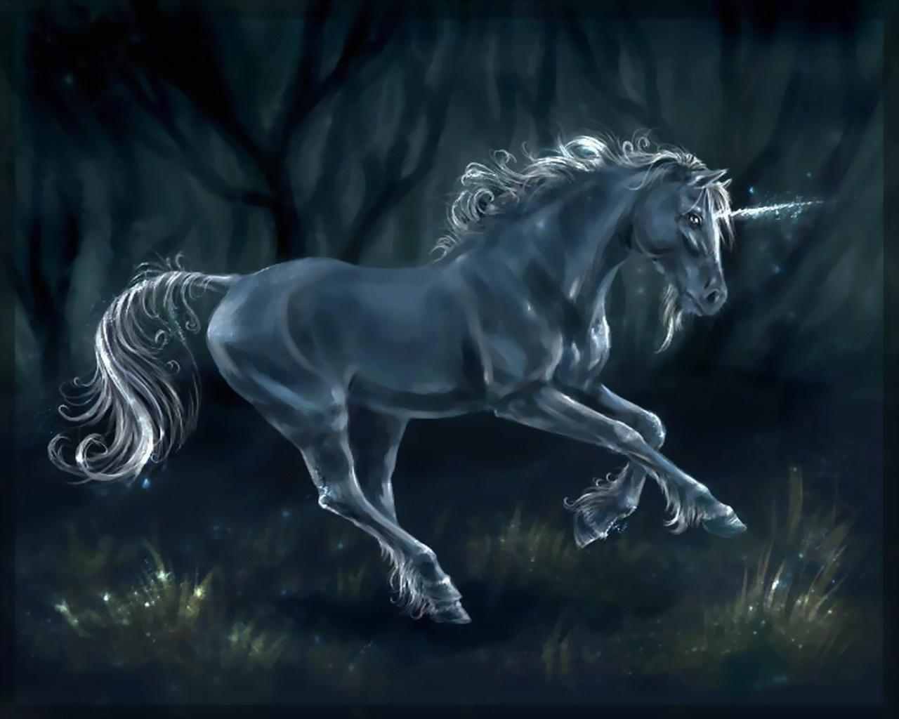 Black Unicorn Wallpapers Top Free Black Unicorn Backgrounds