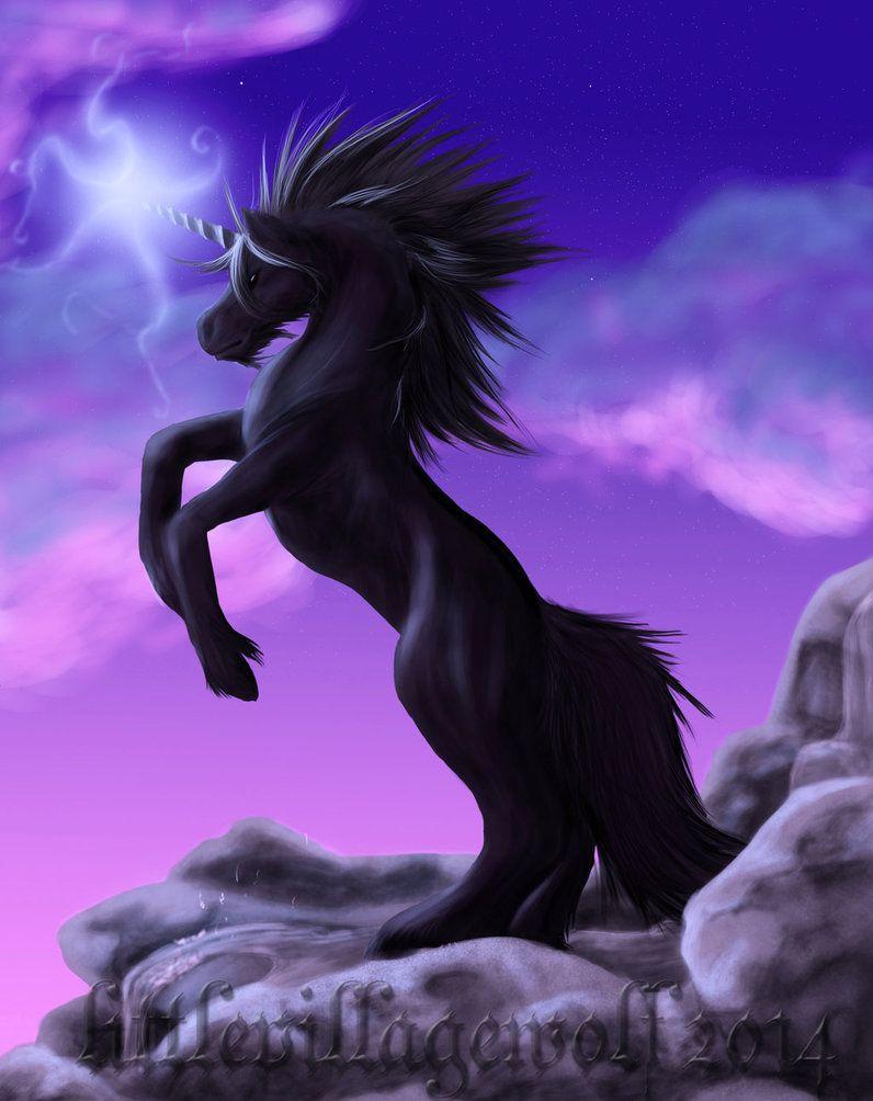 Black Unicorn Wallpapers Top Free Black Unicorn Backgrounds