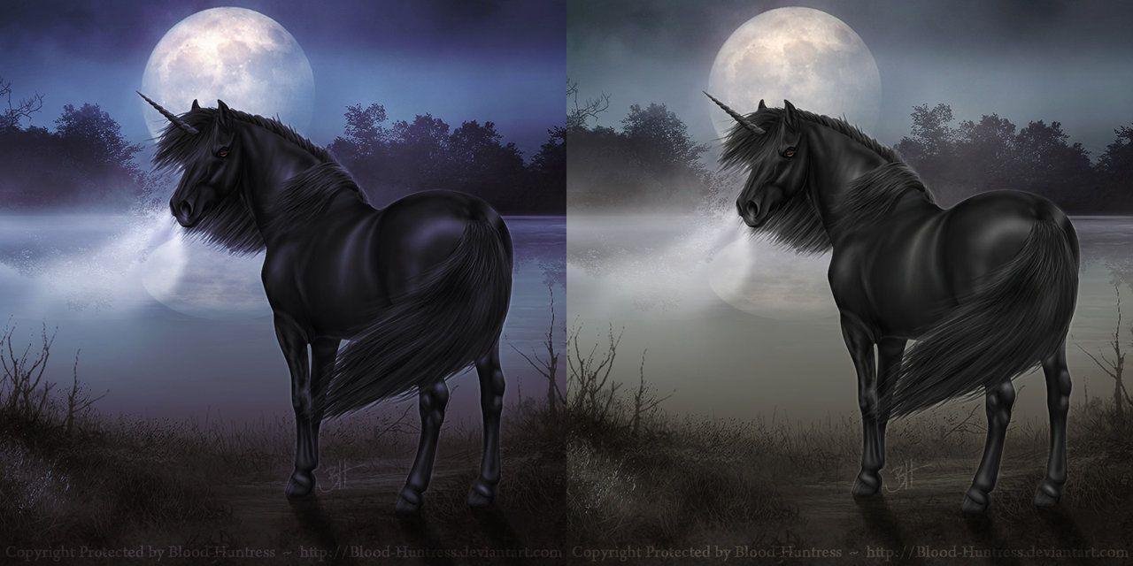 Black Unicorn Wallpapers Top Free Black Unicorn Backgrounds