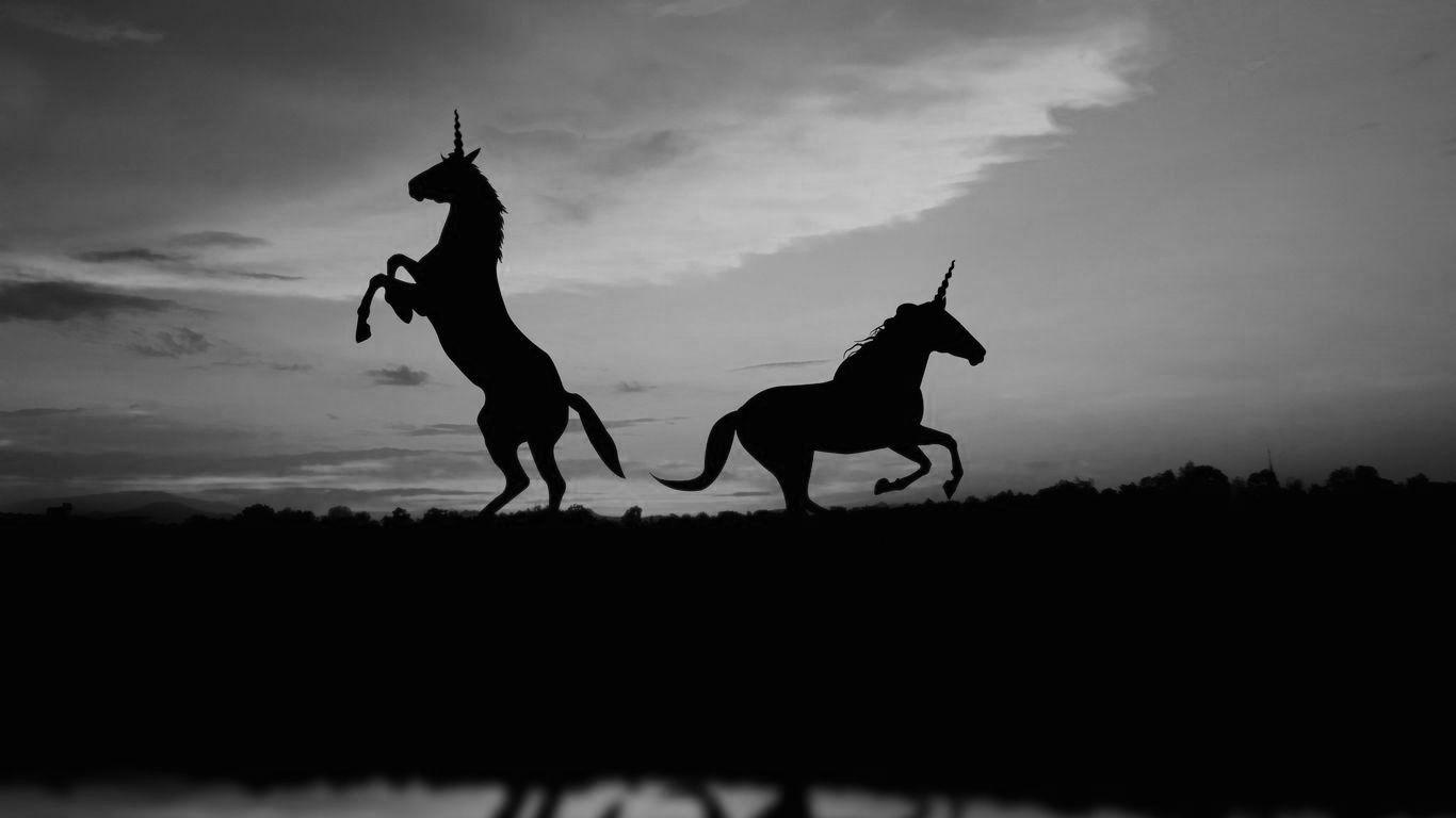 Black Unicorn Wallpapers Top Free Black Unicorn Backgrounds