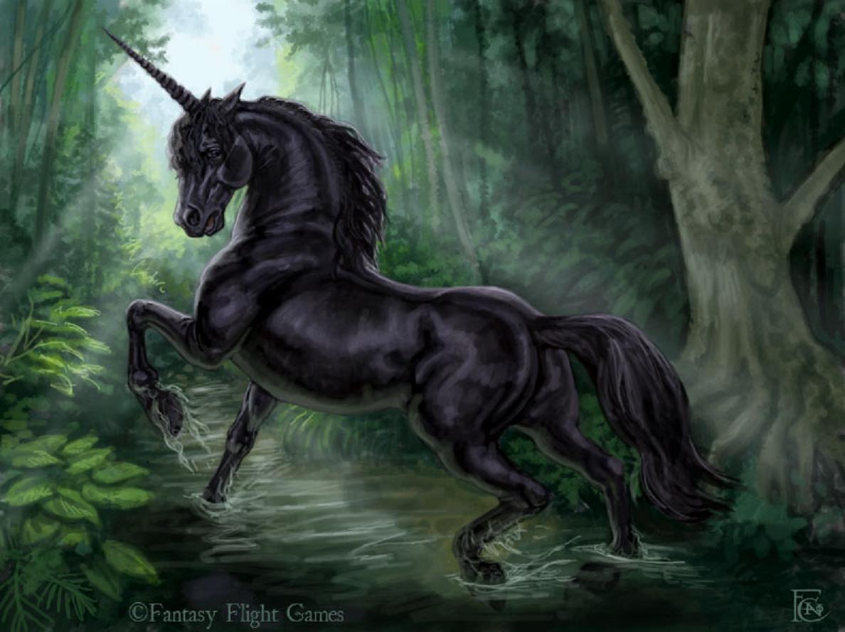 Black Unicorn Wallpapers Top Free Black Unicorn Backgrounds