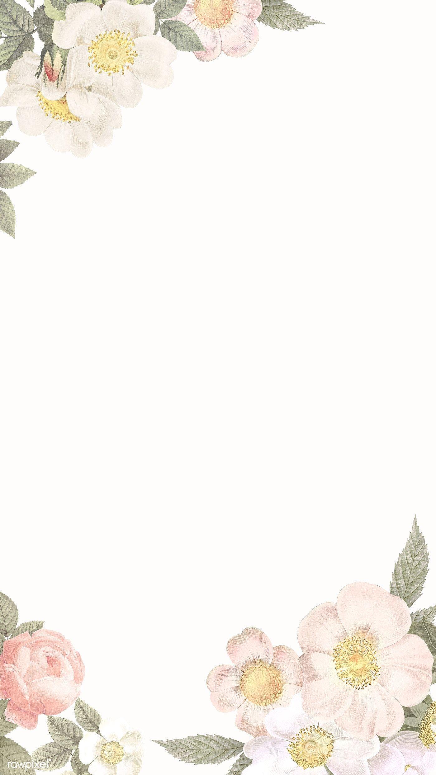 Elegant Floral Wallpapers Top Free Elegant Floral Backgrounds