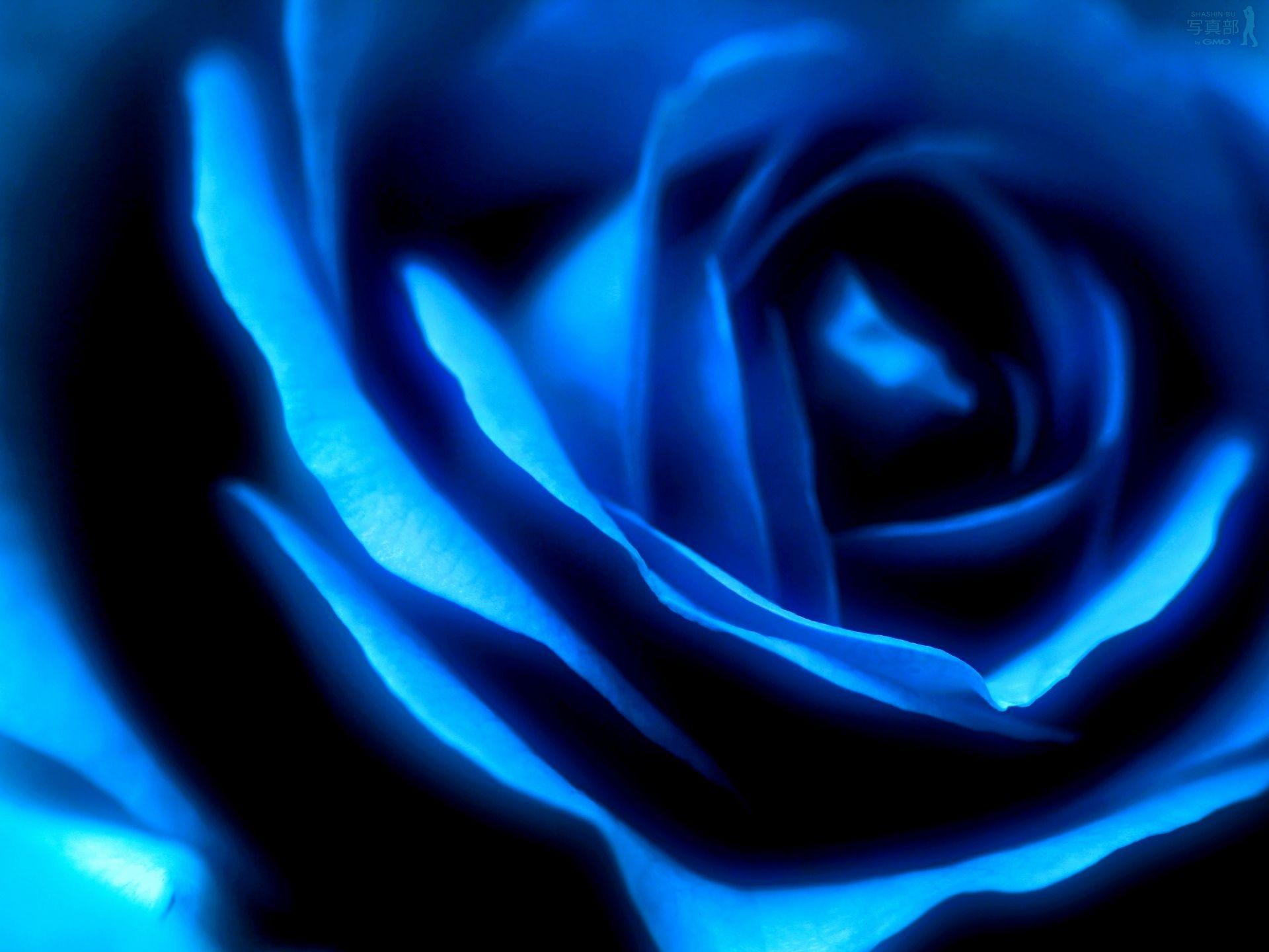 Elegant Blue Wallpapers Top Free Elegant Blue Backgrounds