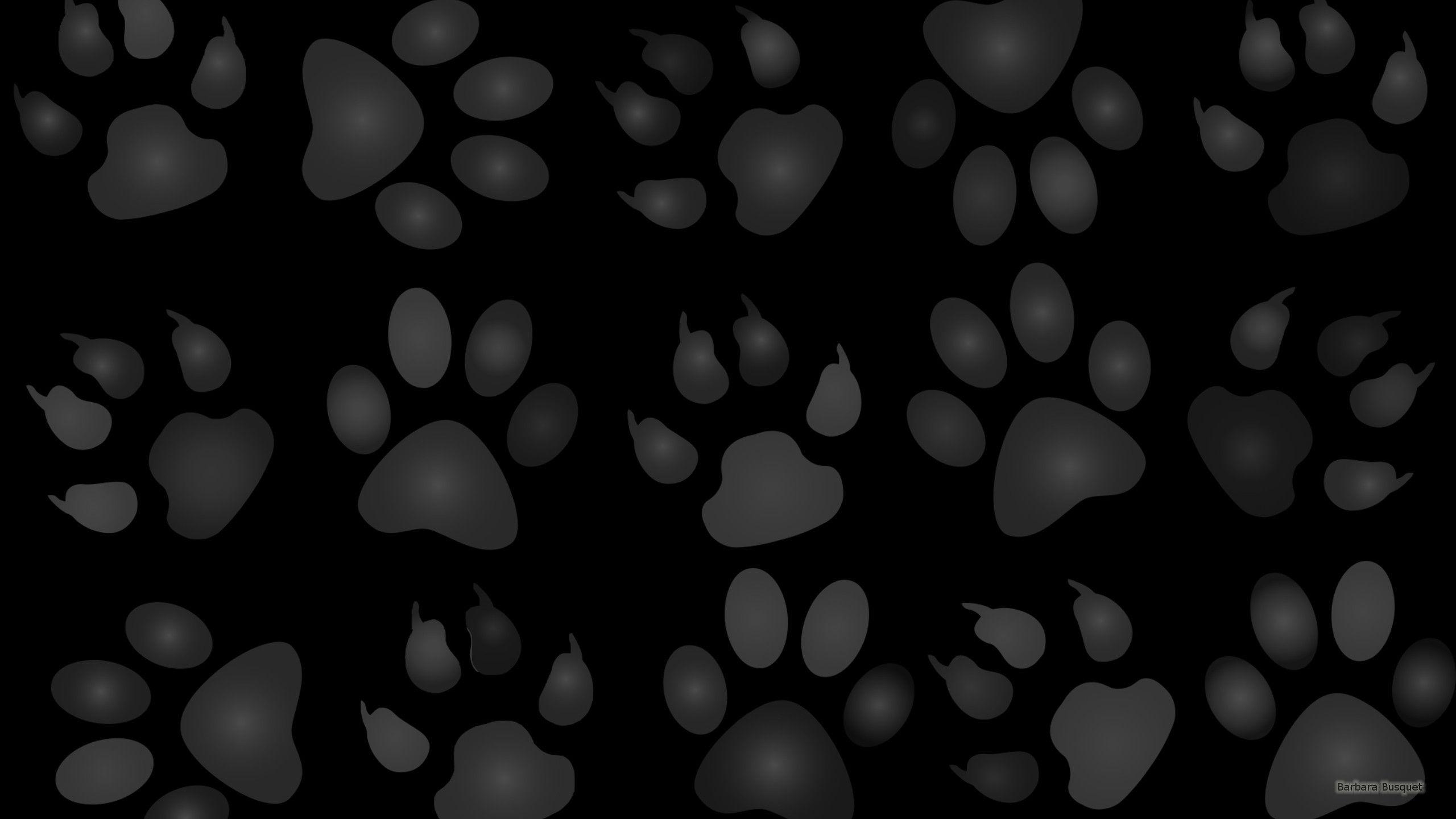 Dog Paw Wallpapers Top Free Dog Paw Backgrounds WallpaperAccess