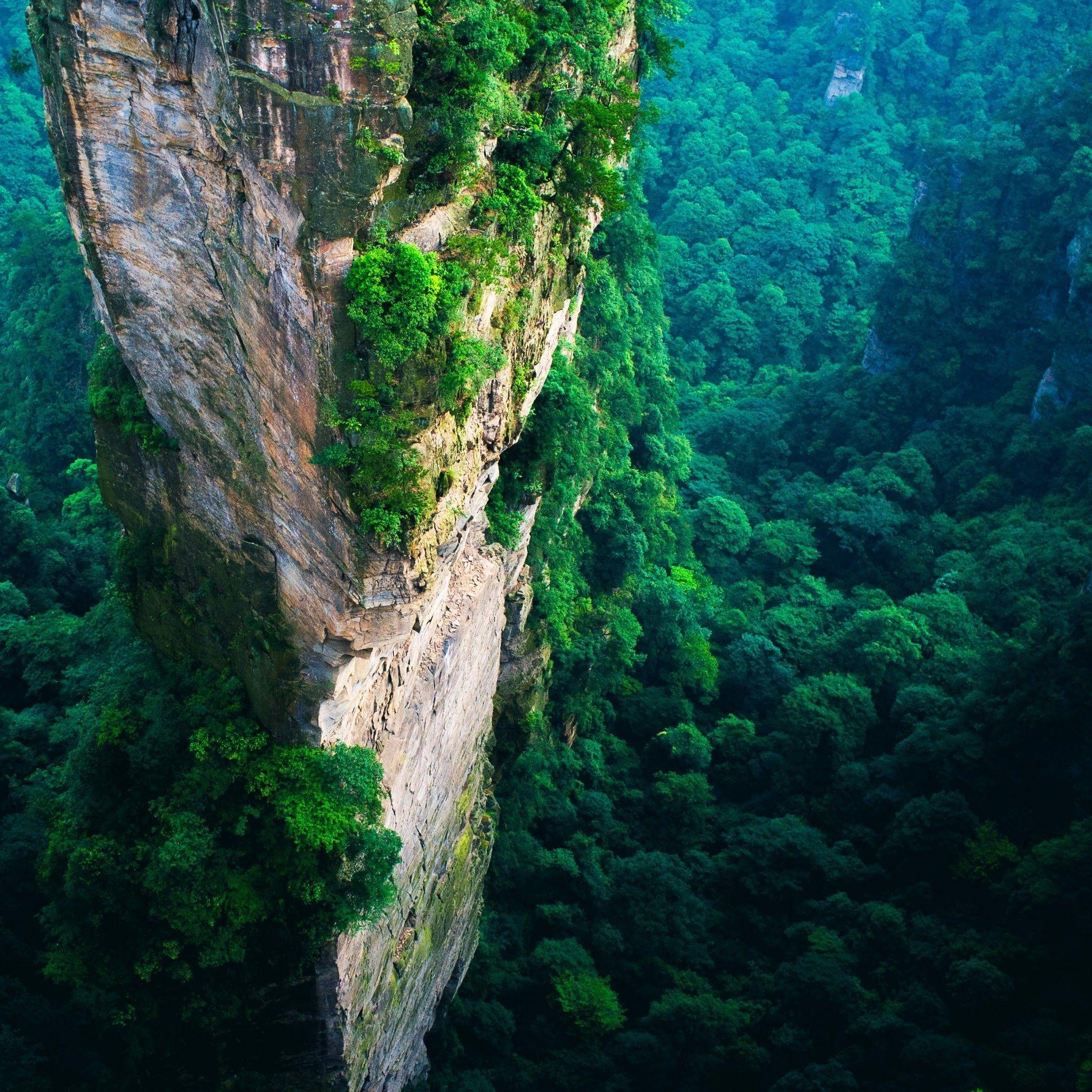 Tall Wallpapers Top Free Tall Backgrounds WallpaperAccess