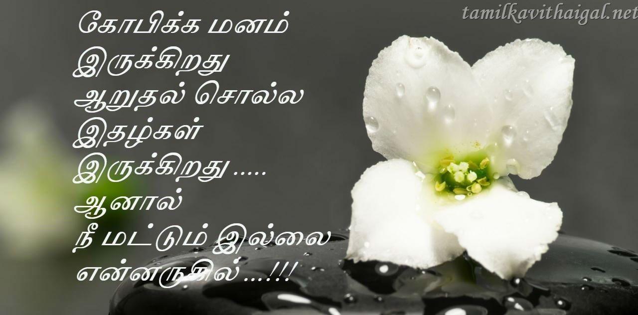 Flower Kavithai In Tamil Best Flower Site