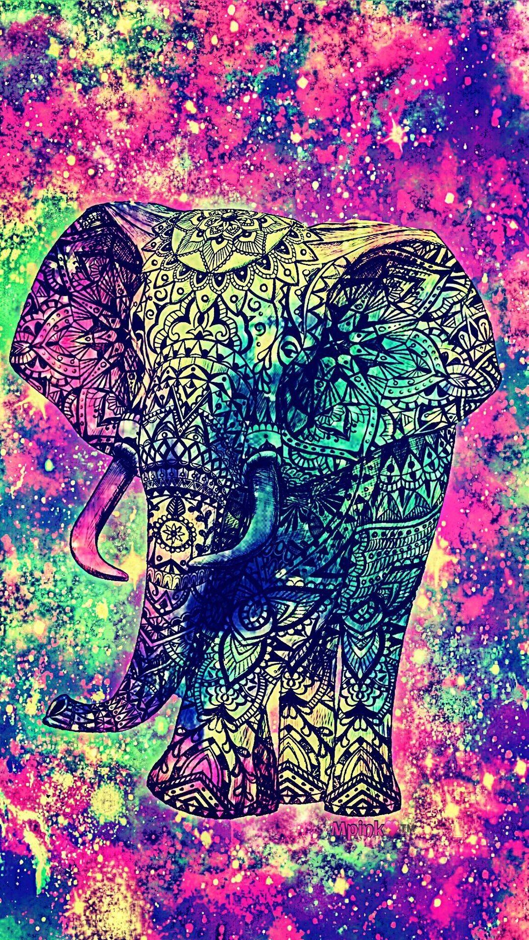 Colorful Elephant Wallpapers Top Free Colorful Elephant Backgrounds