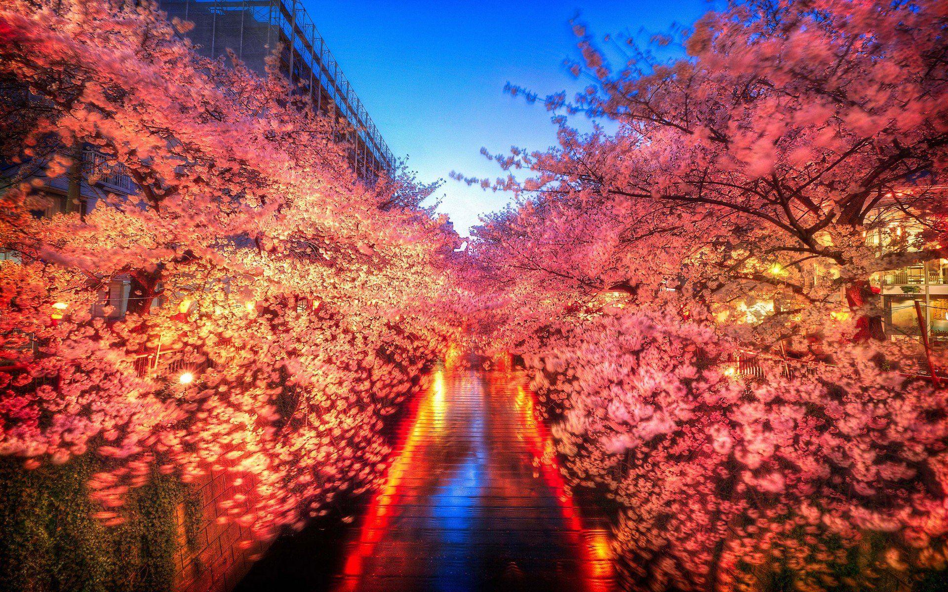 Tokyo Japan 4K Wallpapers Top Free Tokyo Japan 4K Backgrounds