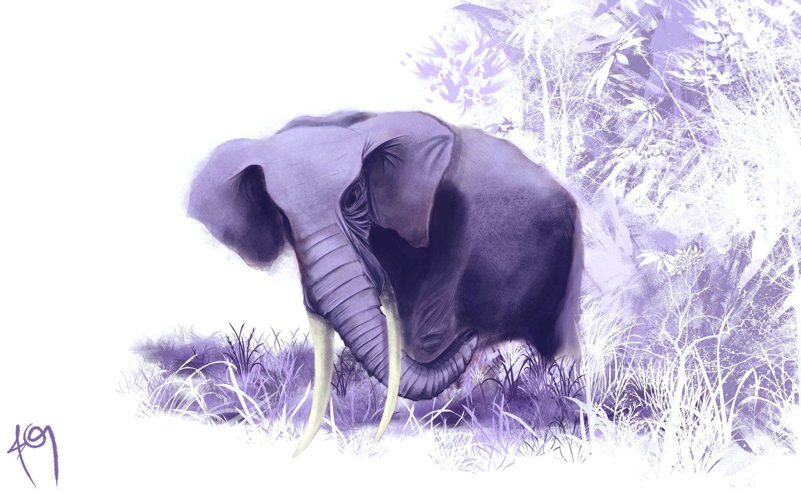 Purple Elephant Wallpapers Top Free Purple Elephant Backgrounds