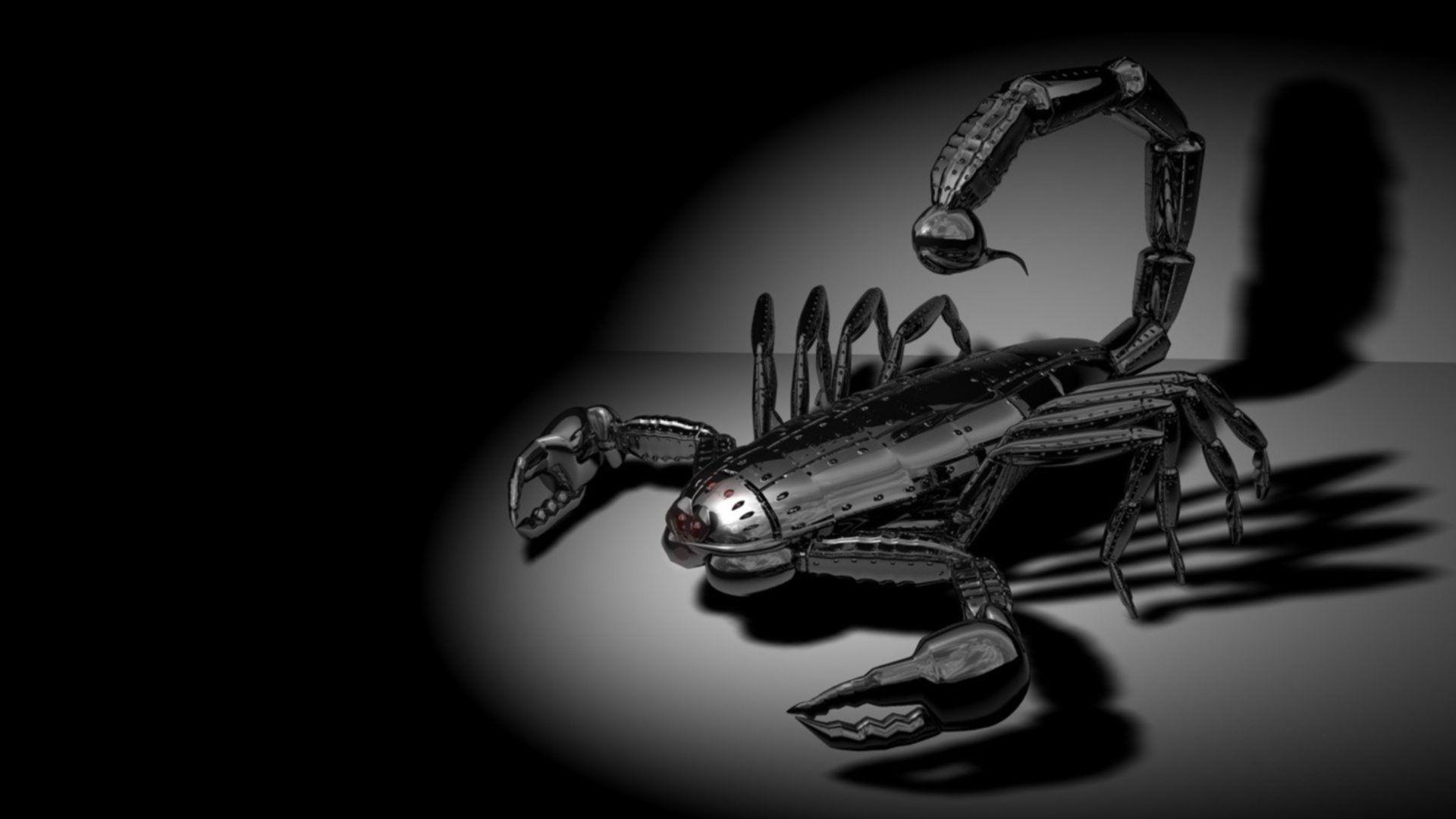 Black Scorpion Wallpapers Top Free Black Scorpion Backgrounds