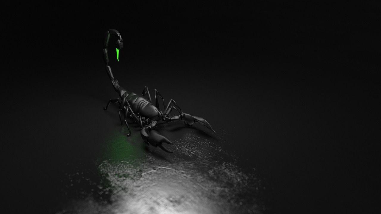 Black Scorpion Wallpapers Top Free Black Scorpion Backgrounds
