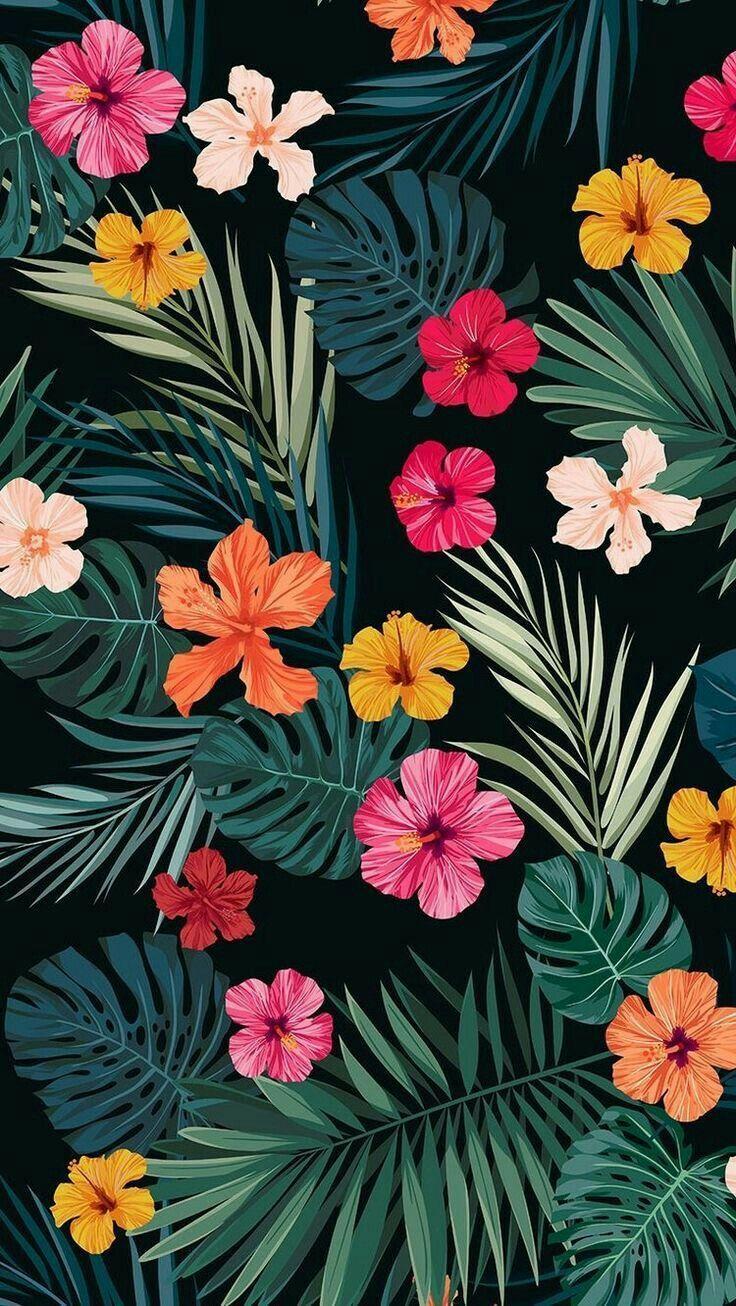 Tropical Pattern Wallpapers Top Free Tropical Pattern Backgrounds