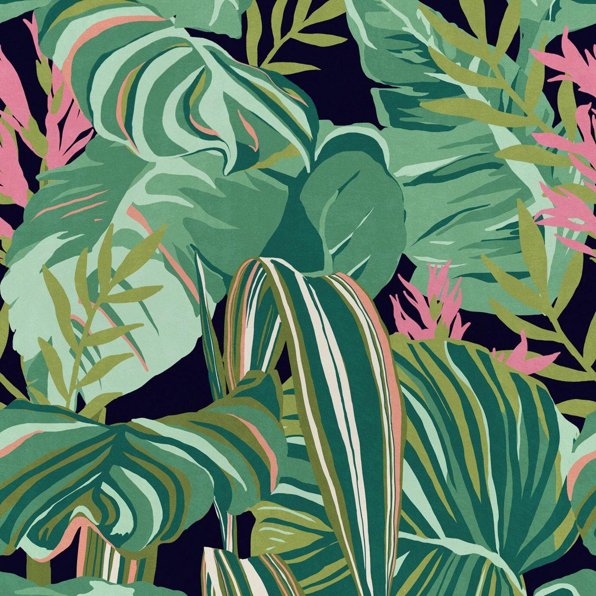 Tropical Pattern Wallpapers Top Free Tropical Pattern Backgrounds