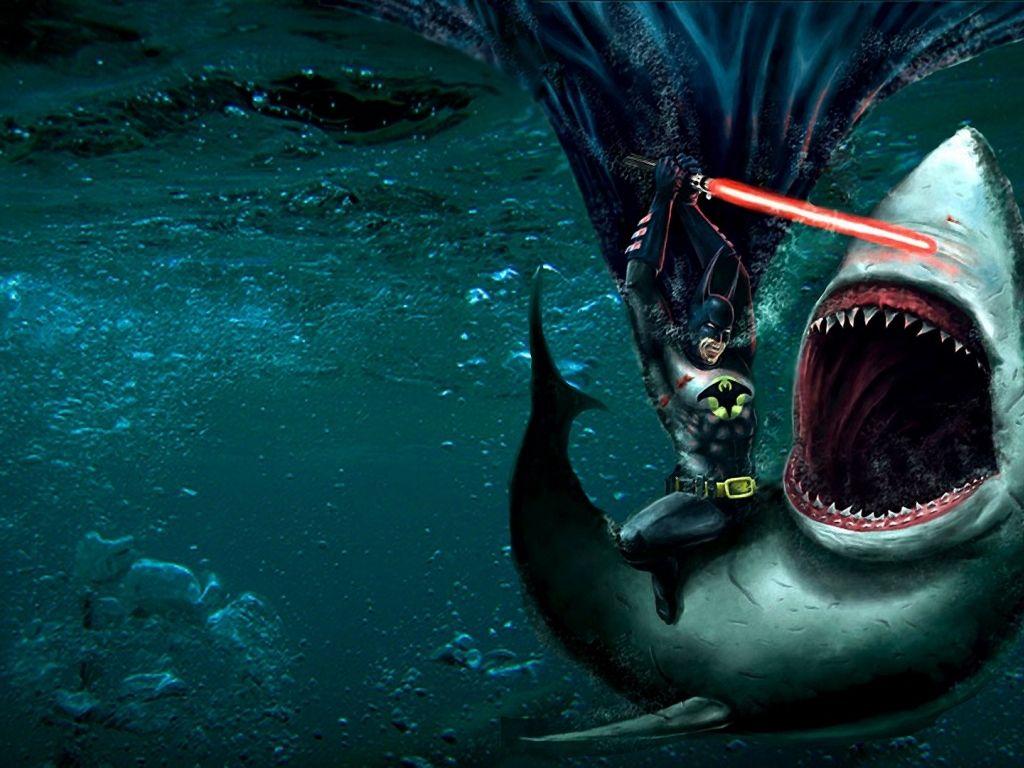 Shark 4K Wallpapers Top Free Shark 4K Backgrounds WallpaperAccess