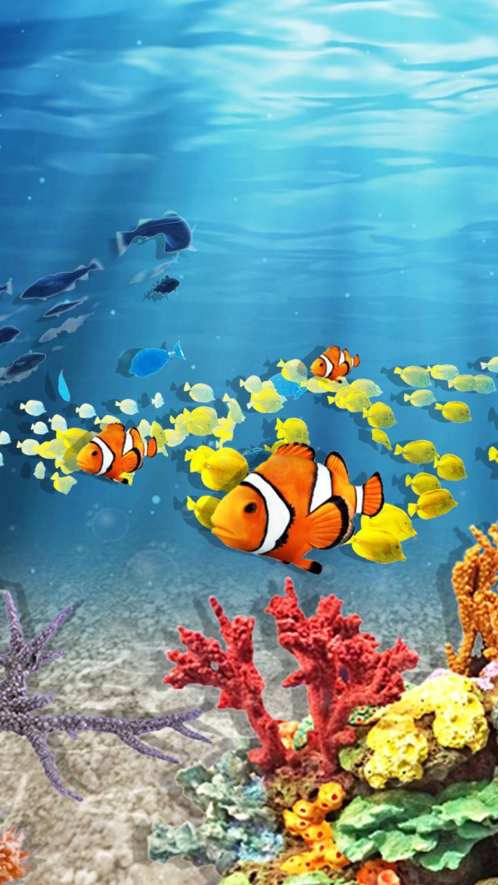 Under The Sea Wallpapers Top Free Under The Sea Backgrounds