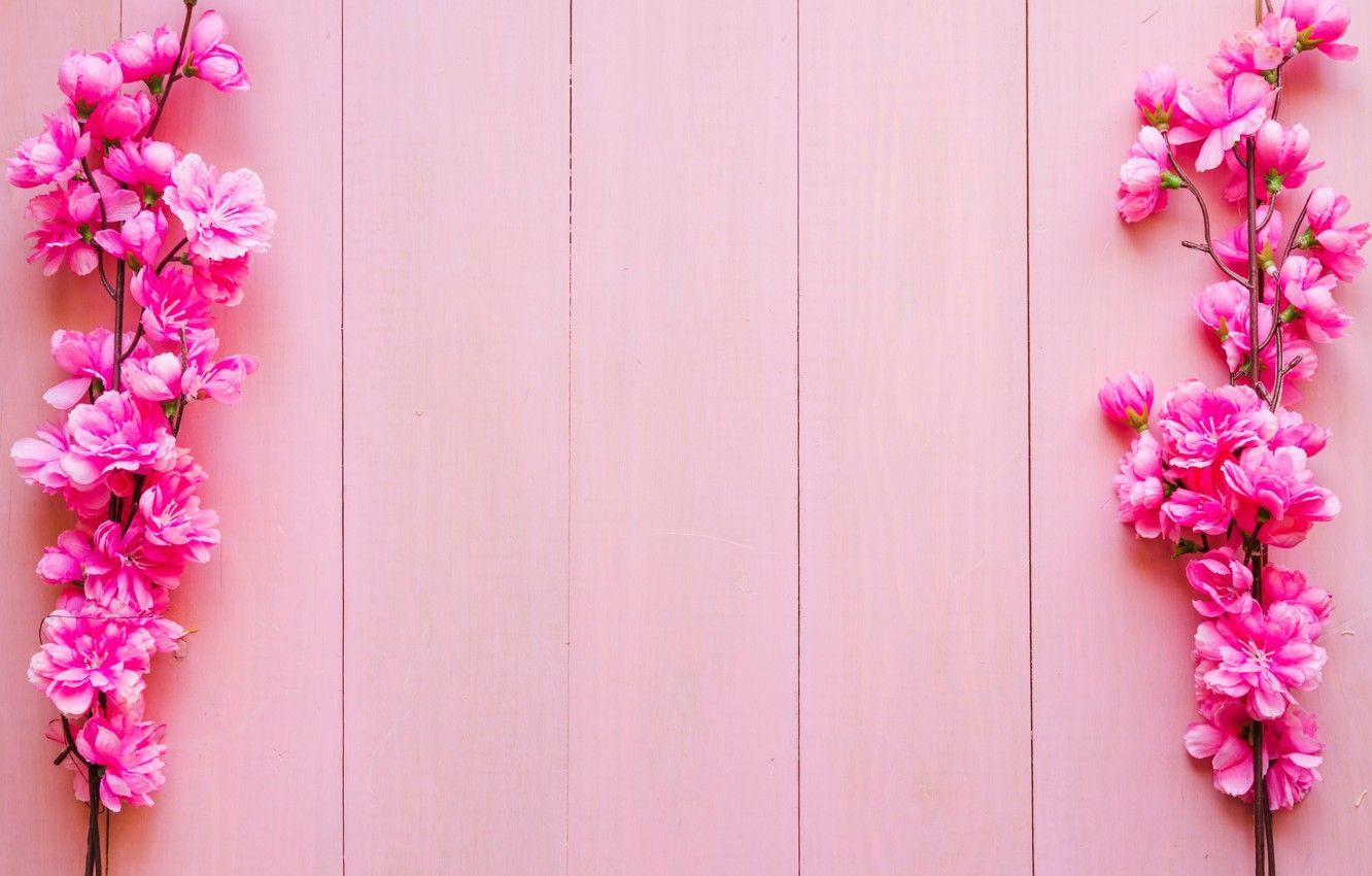 Pink Wood Wallpapers Top Free Pink Wood Backgrounds WallpaperAccess