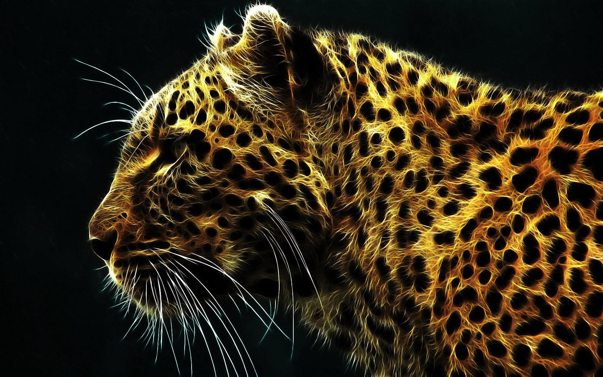 Cool Cheetah Wallpapers Top Free Cool Cheetah Backgrounds