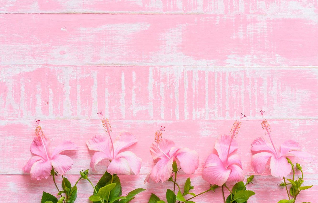 Pink Wood Wallpapers Top Free Pink Wood Backgrounds WallpaperAccess