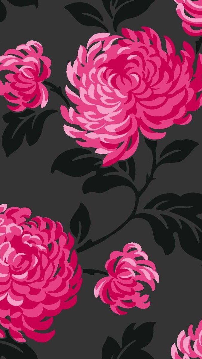 Black and Pink Flower Wallpapers Top Free Black and Pink Flower