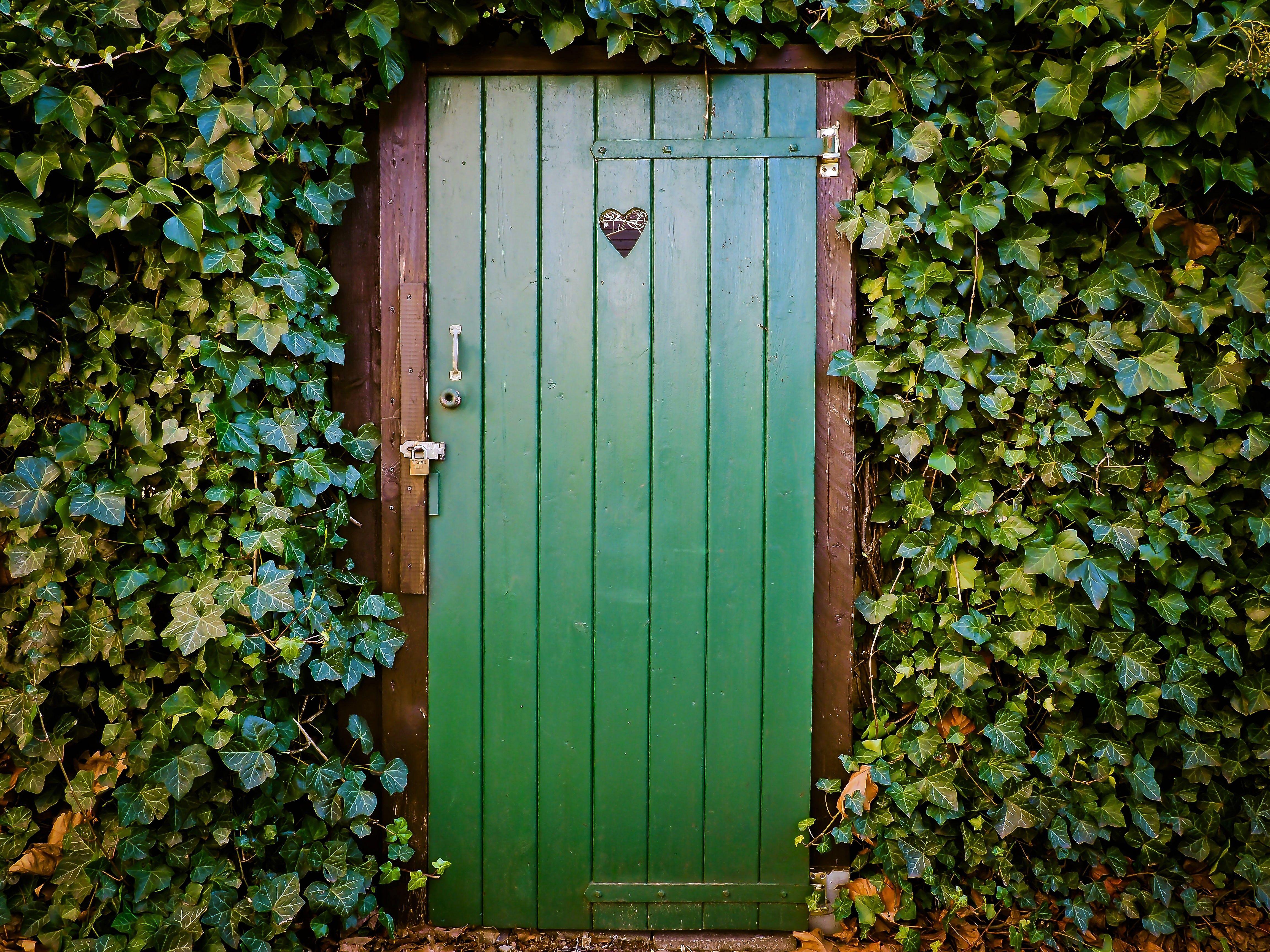 Door Wallpapers Top Free Door Backgrounds WallpaperAccess