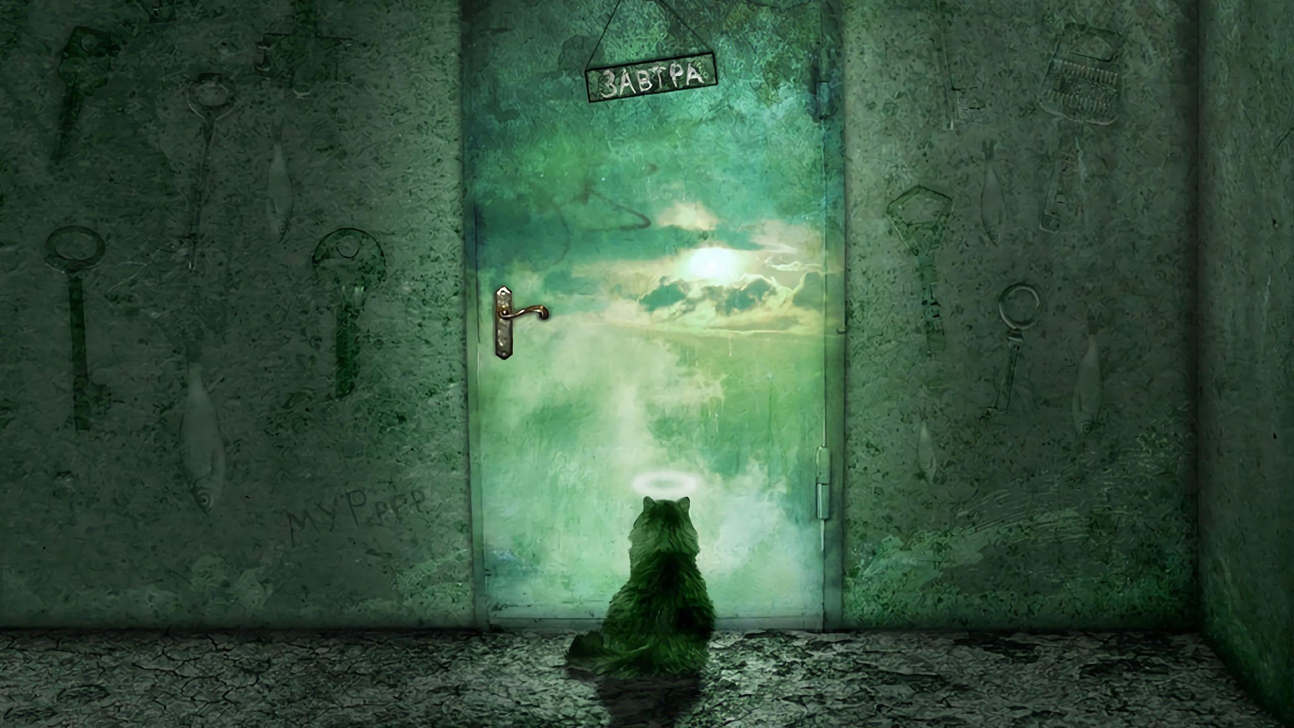Door Wallpapers Top Free Door Backgrounds WallpaperAccess