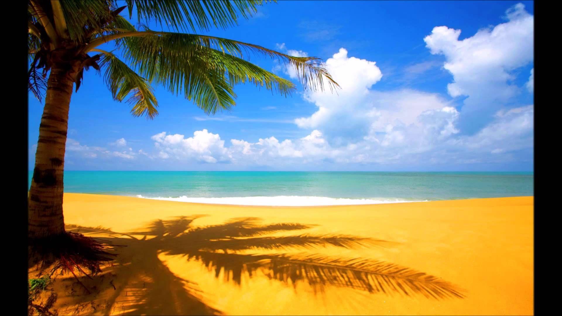 Beach Bar Wallpapers Top Free Beach Bar Backgrounds WallpaperAccess