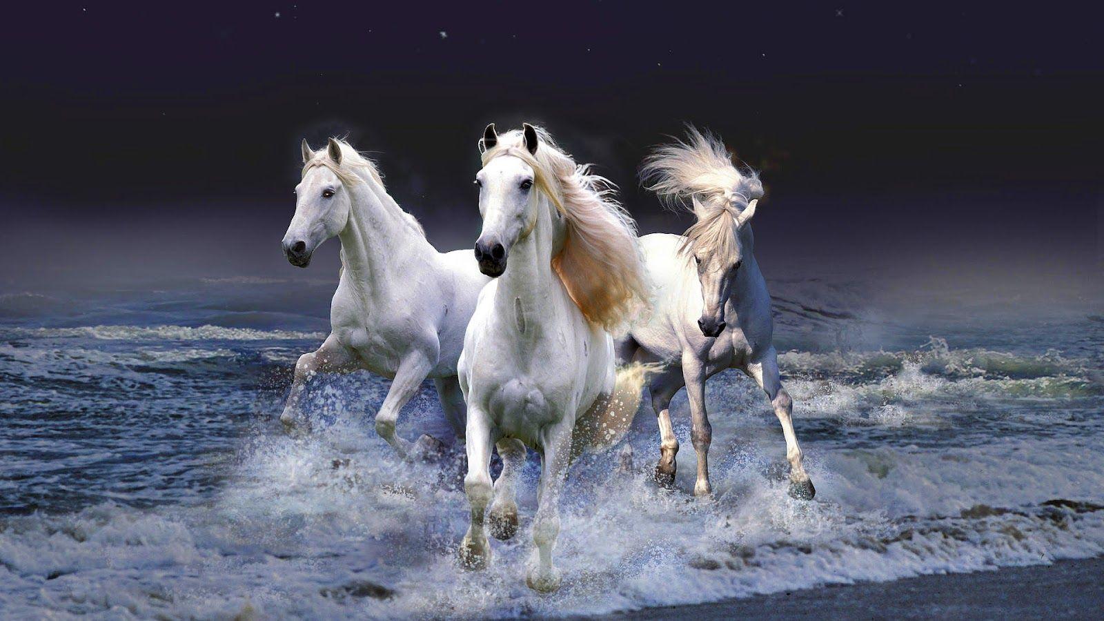 Horses Running Wallpapers Top Free Horses Running Backgrounds WallpaperAccess