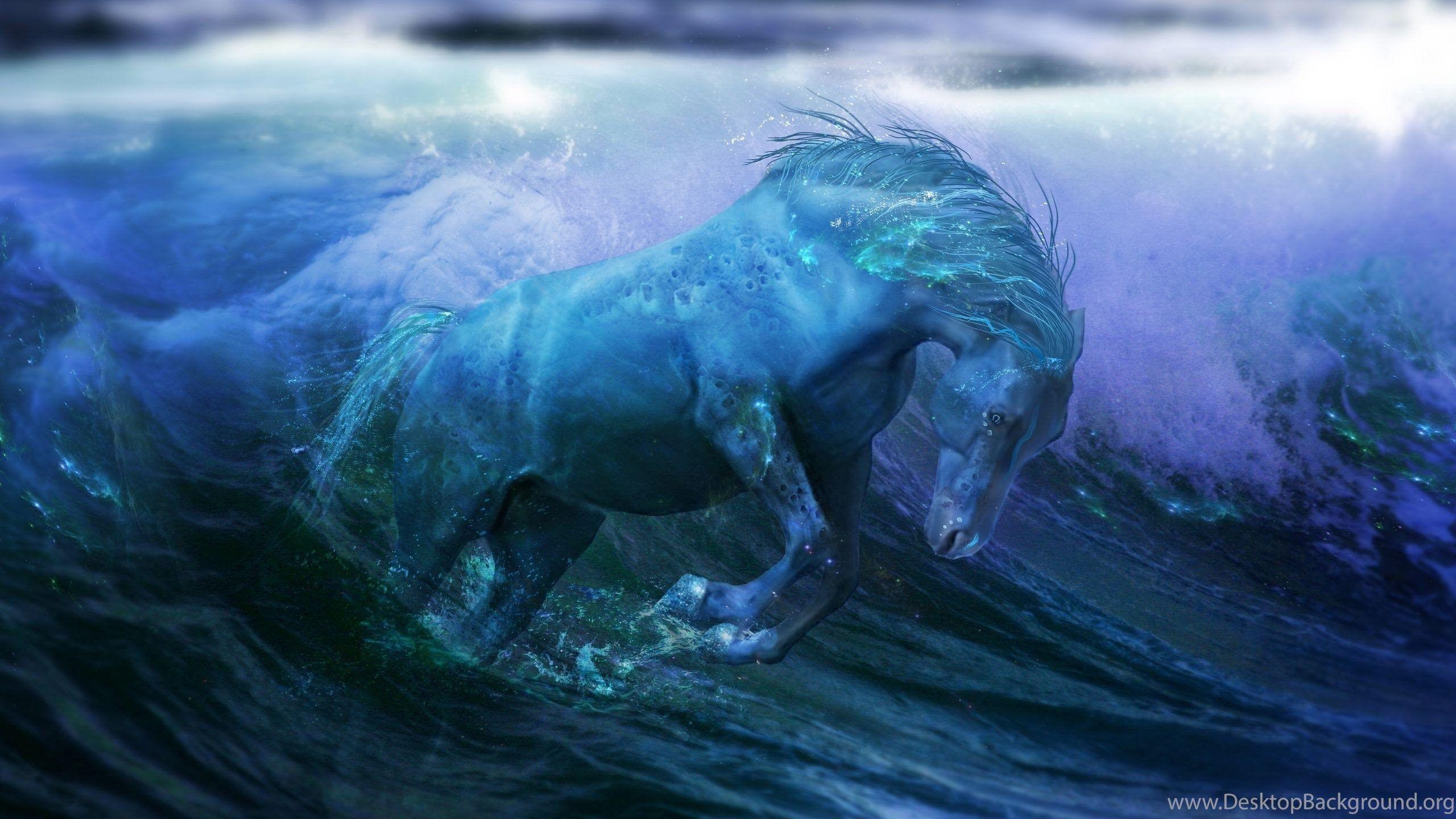 Water Horse Wallpapers Top Free Water Horse Backgrounds WallpaperAccess