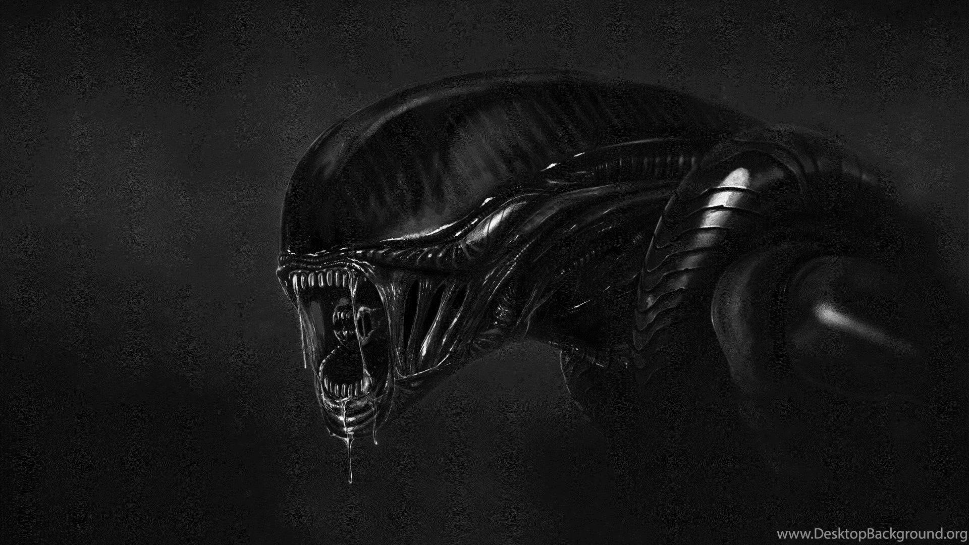 Black Ultra HD Wallpapers Top Free Black Ultra HD Backgrounds