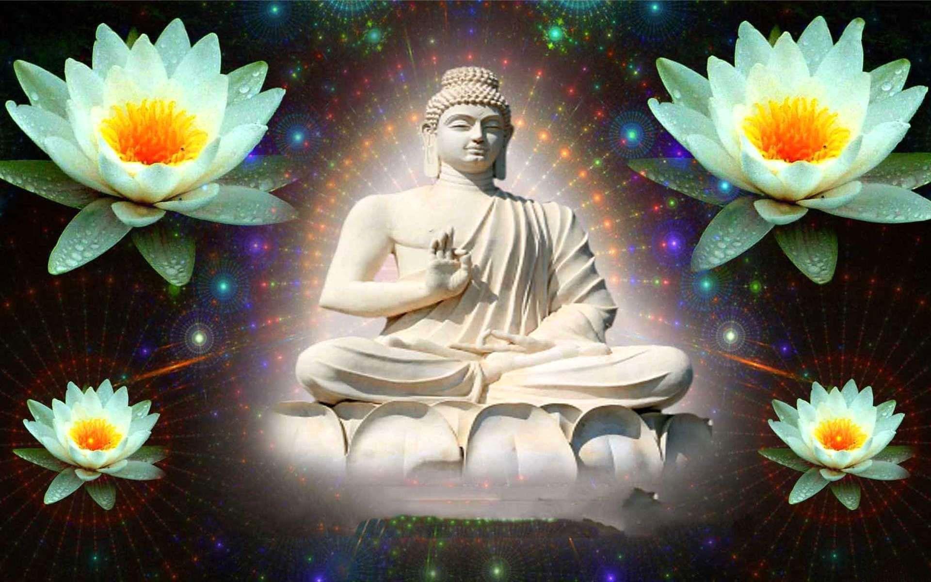 Buddha Lotus Wallpapers Top Free Buddha Lotus Backgrounds