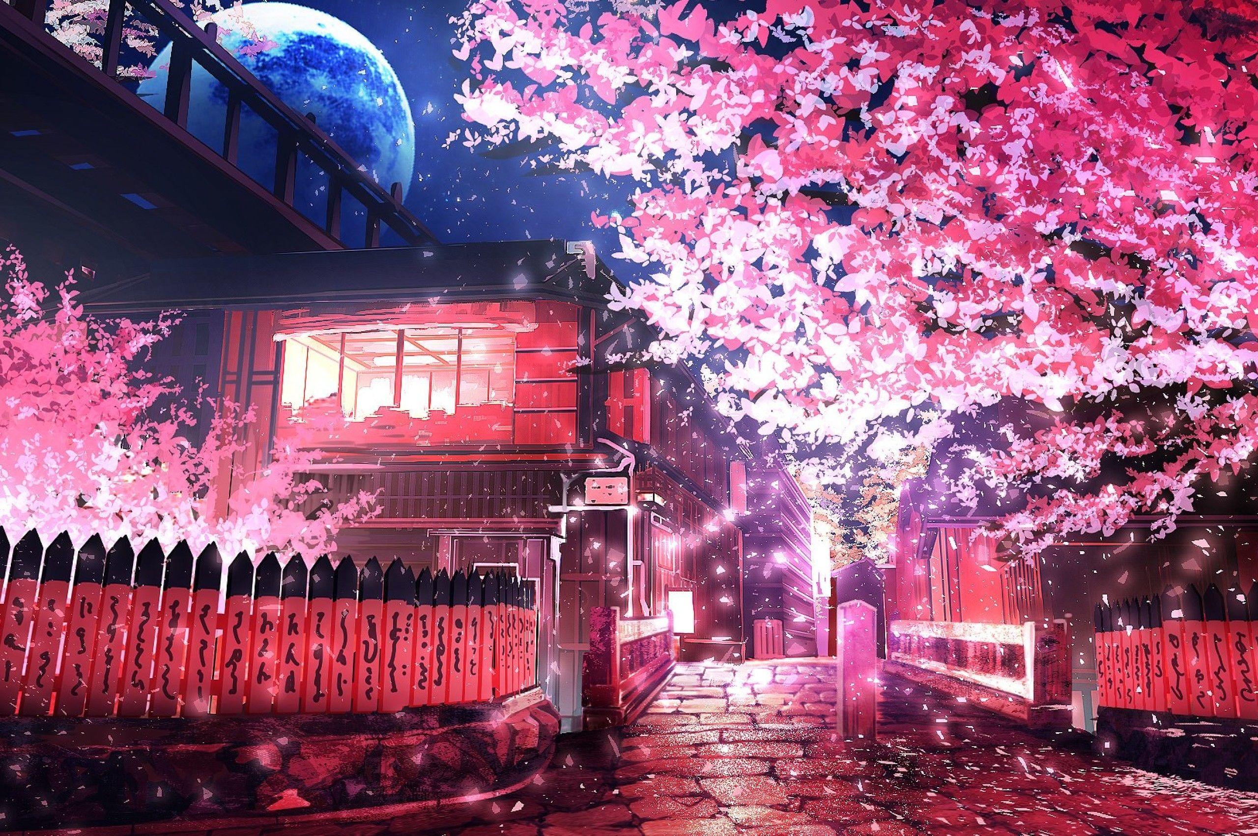 Anime Cherry Blossom 4K Wallpapers Top Free Anime Cherry Blossom 4K