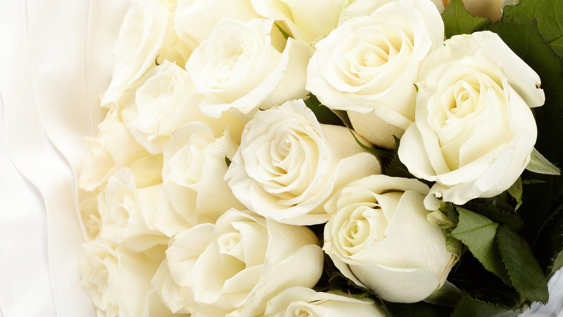 Funeral Flowers Wallpapers Top Free Funeral Flowers Backgrounds