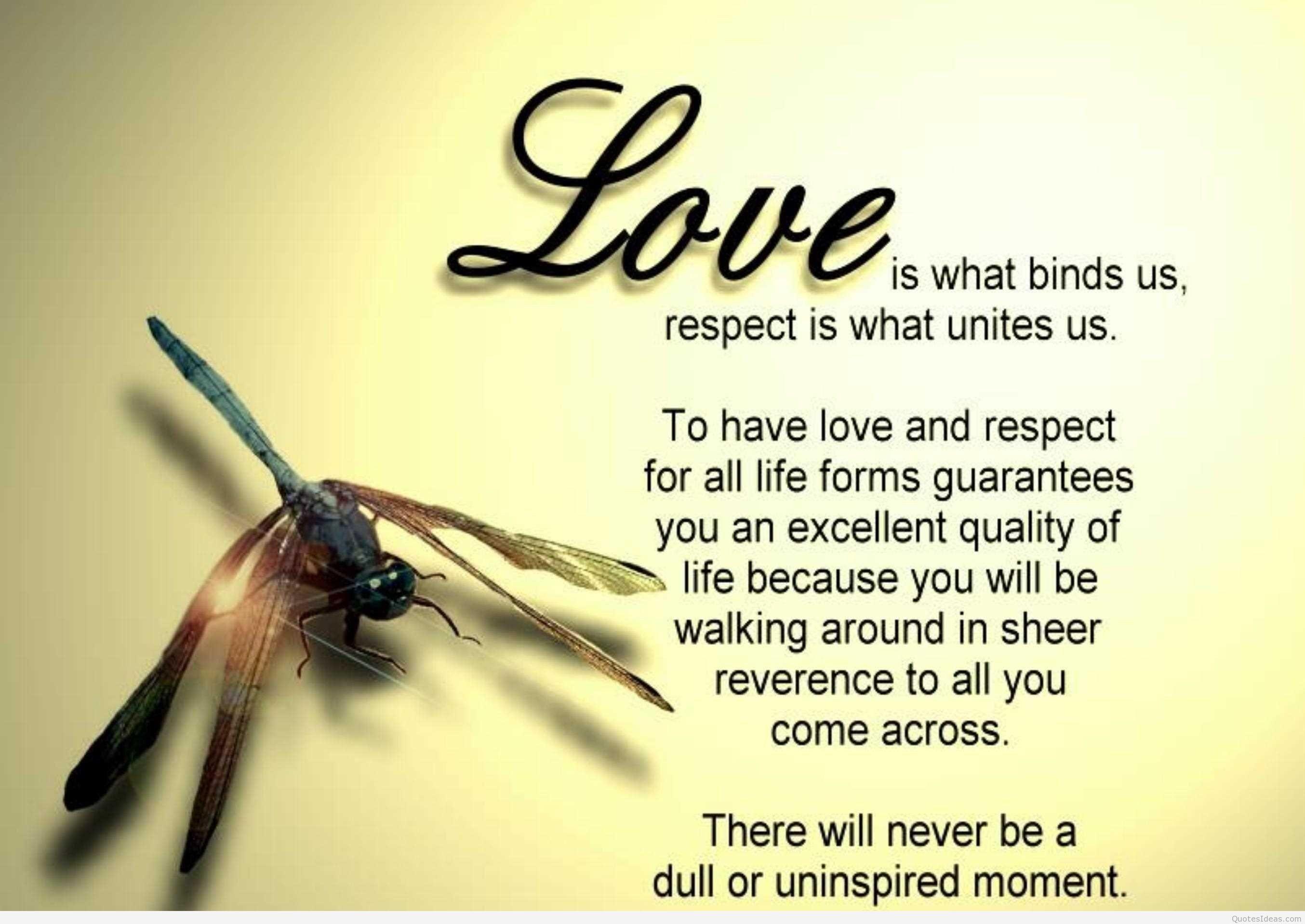 Quotes About Love Wallpapers Top Free Quotes About Love Backgrounds