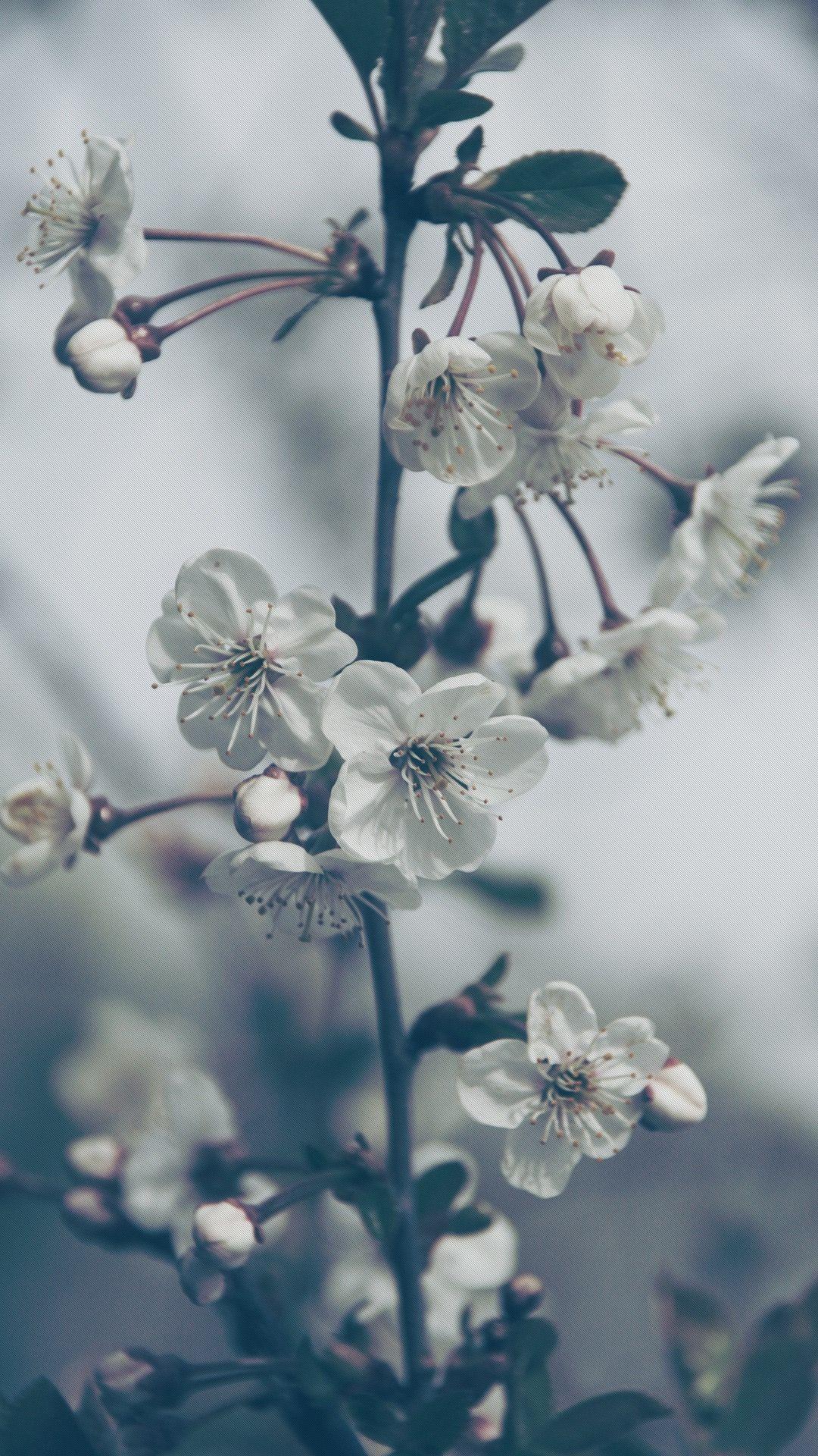 Feel Good Wallpapers Top Free Feel Good Backgrounds WallpaperAccess