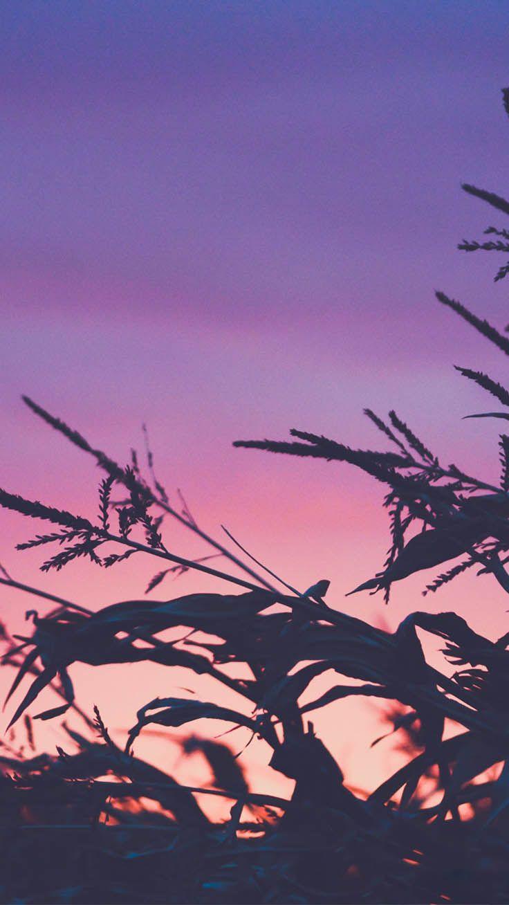 Cute Ombre Wallpapers Top Free Cute Ombre Backgrounds WallpaperAccess