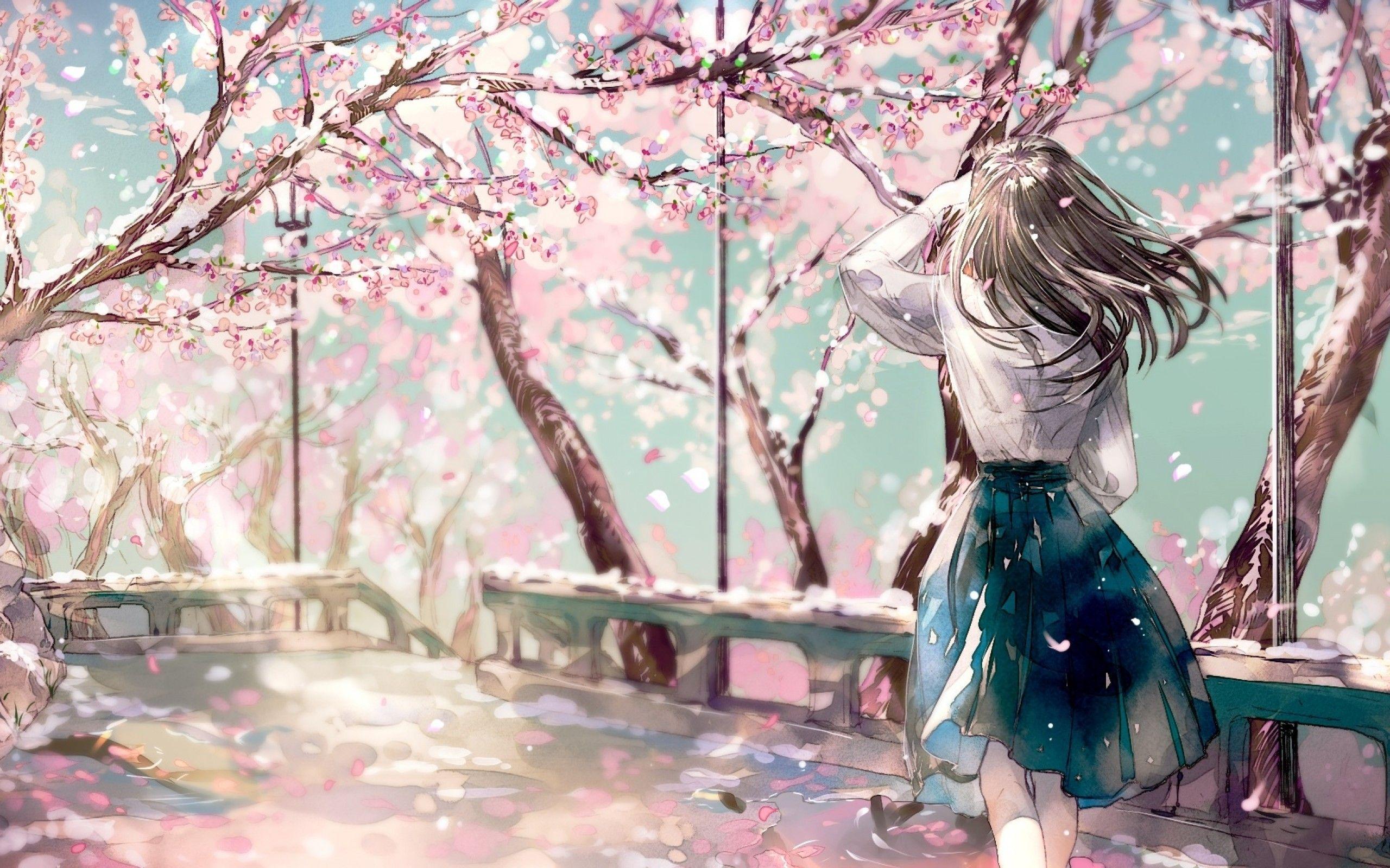 Sakura Anime Wallpapers Top Free Sakura Anime Backgrounds