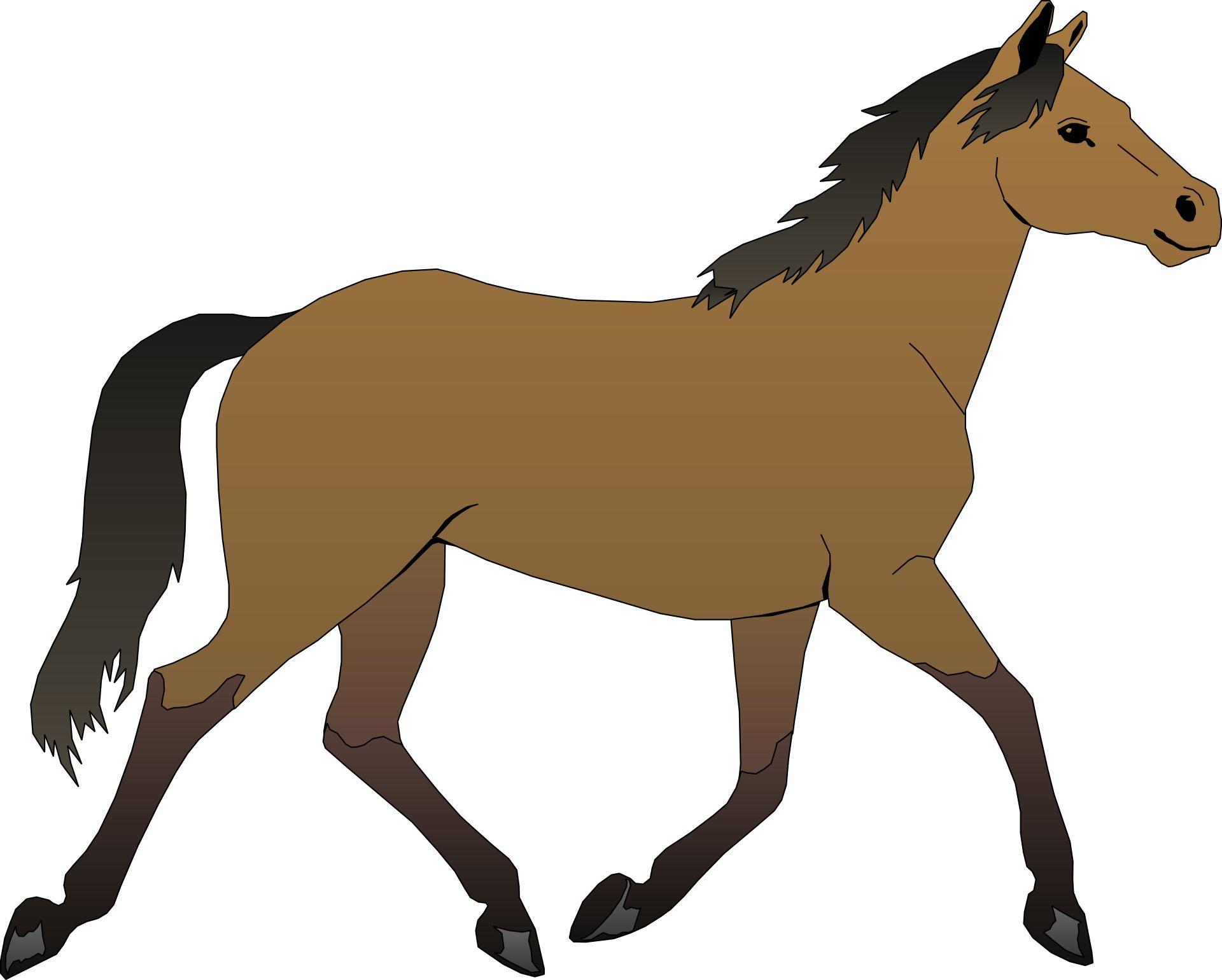 Cartoon Horse Wallpapers Top Free Cartoon Horse Backgrounds