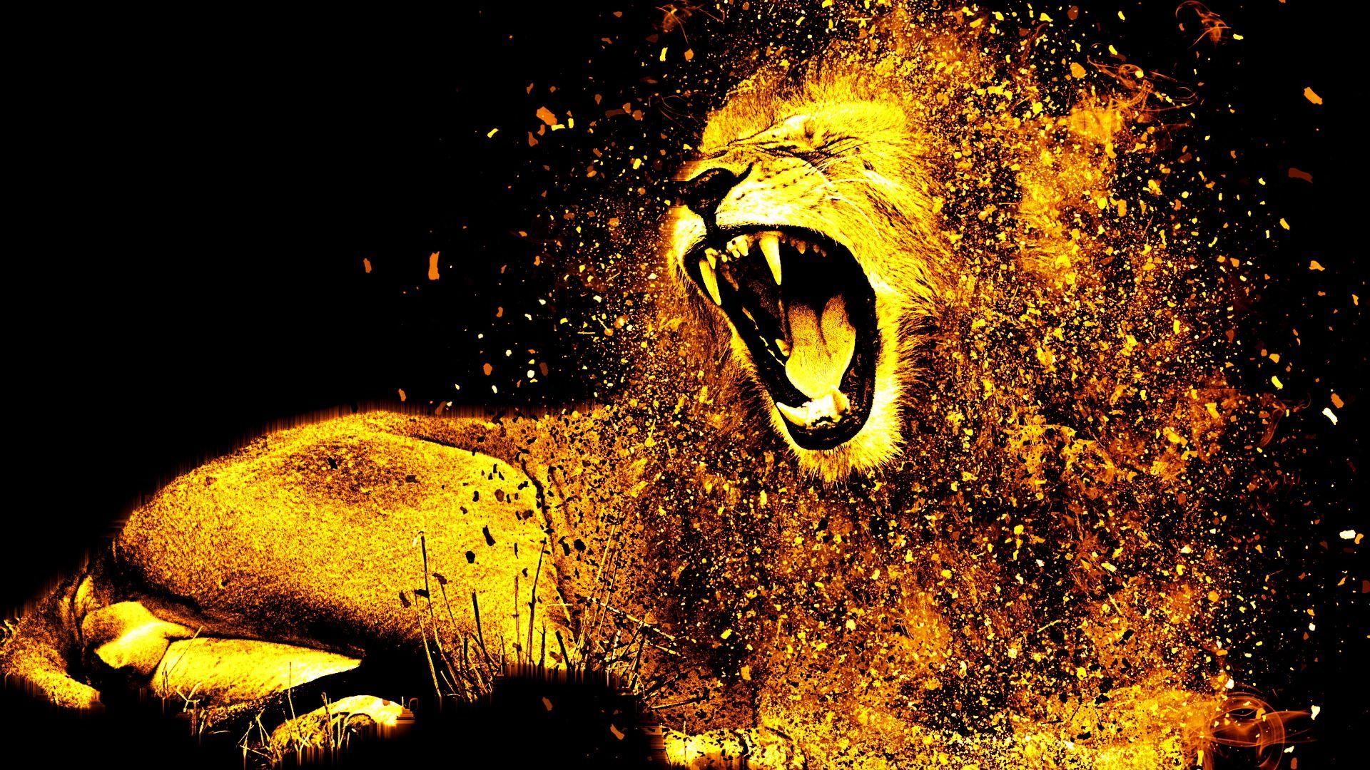 Gold Lion Wallpapers Top Free Gold Lion Backgrounds WallpaperAccess