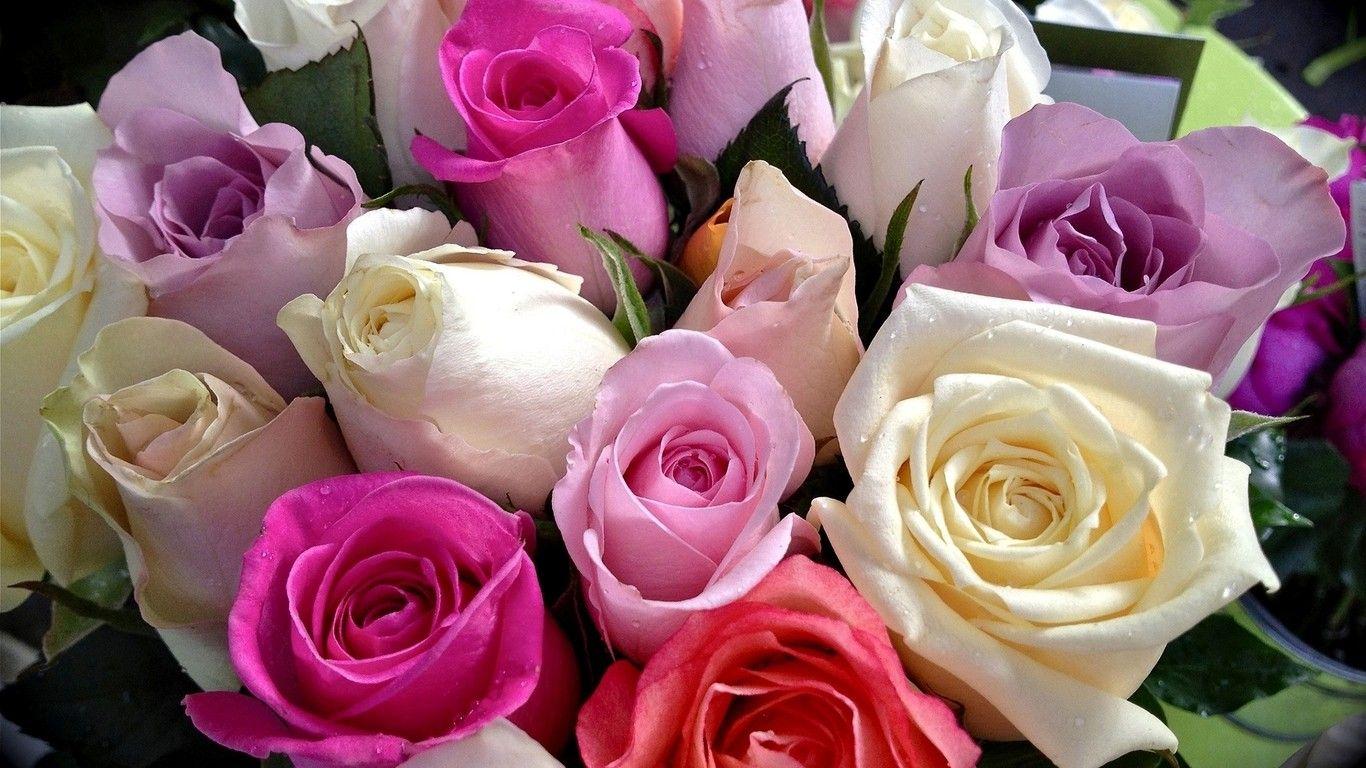 Cute Girly Flower Wallpapers Top Free Cute Girly Flower Backgrounds