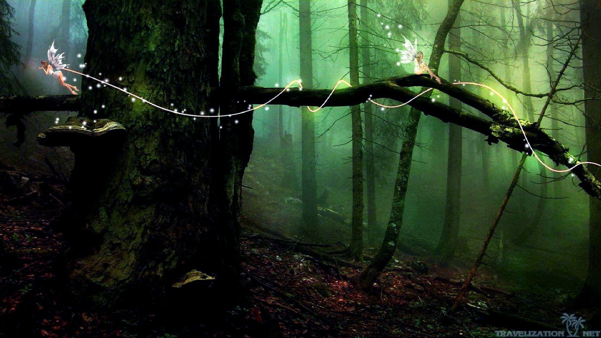 Forest Fairy Wallpapers Top Free Forest Fairy Backgrounds