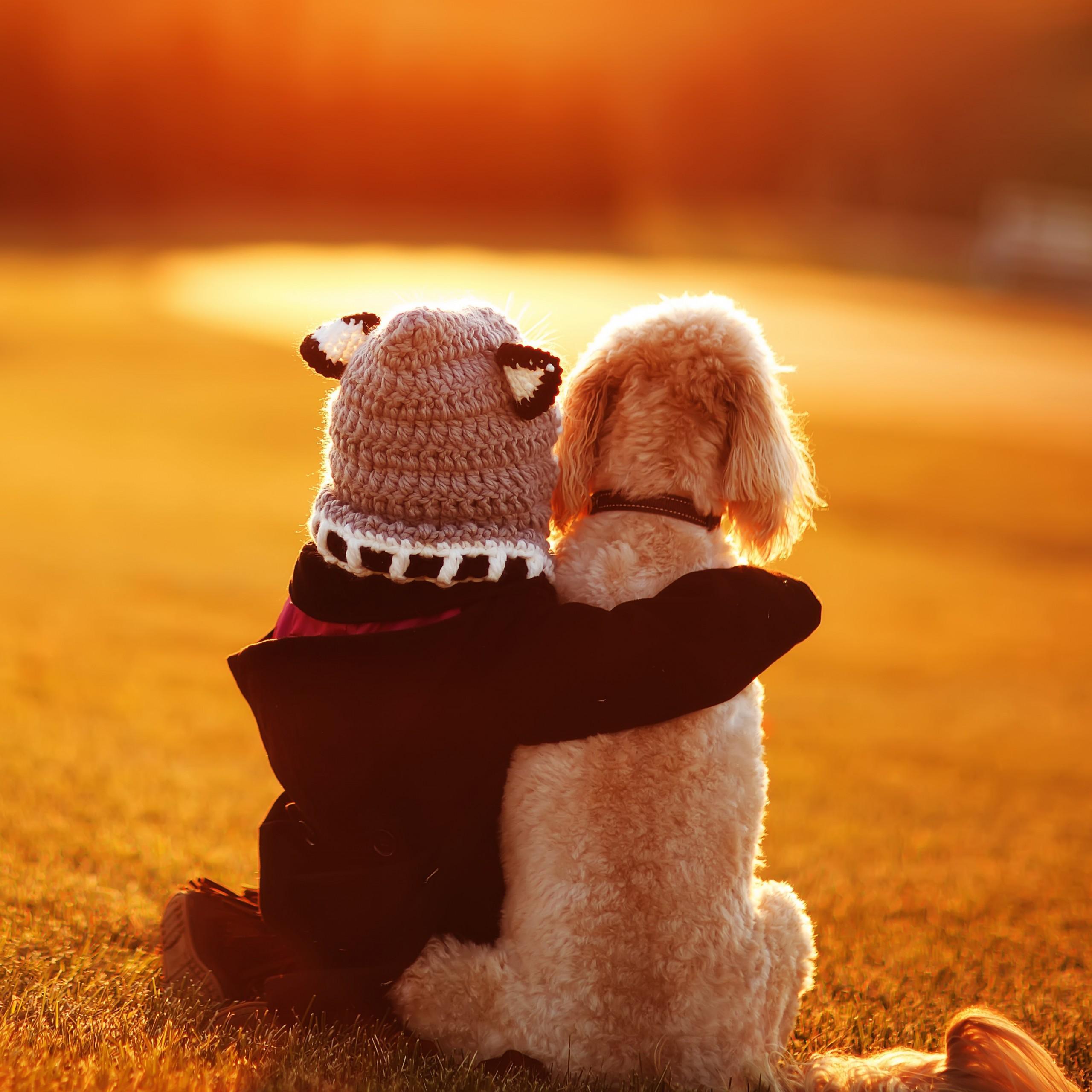 Cute Animal Friends Wallpapers Top Free Cute Animal Friends