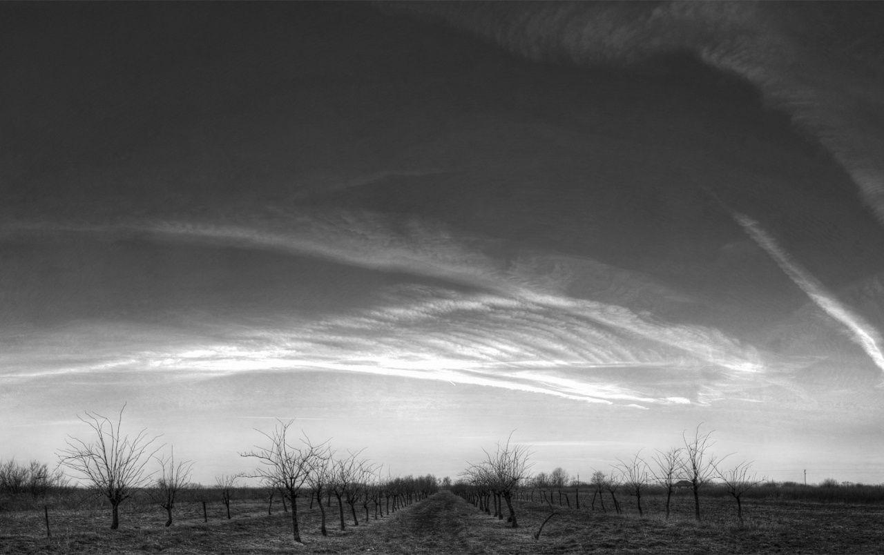 Black and White Sky Wallpapers Top Free Black and White Sky Backgrounds WallpaperAccess