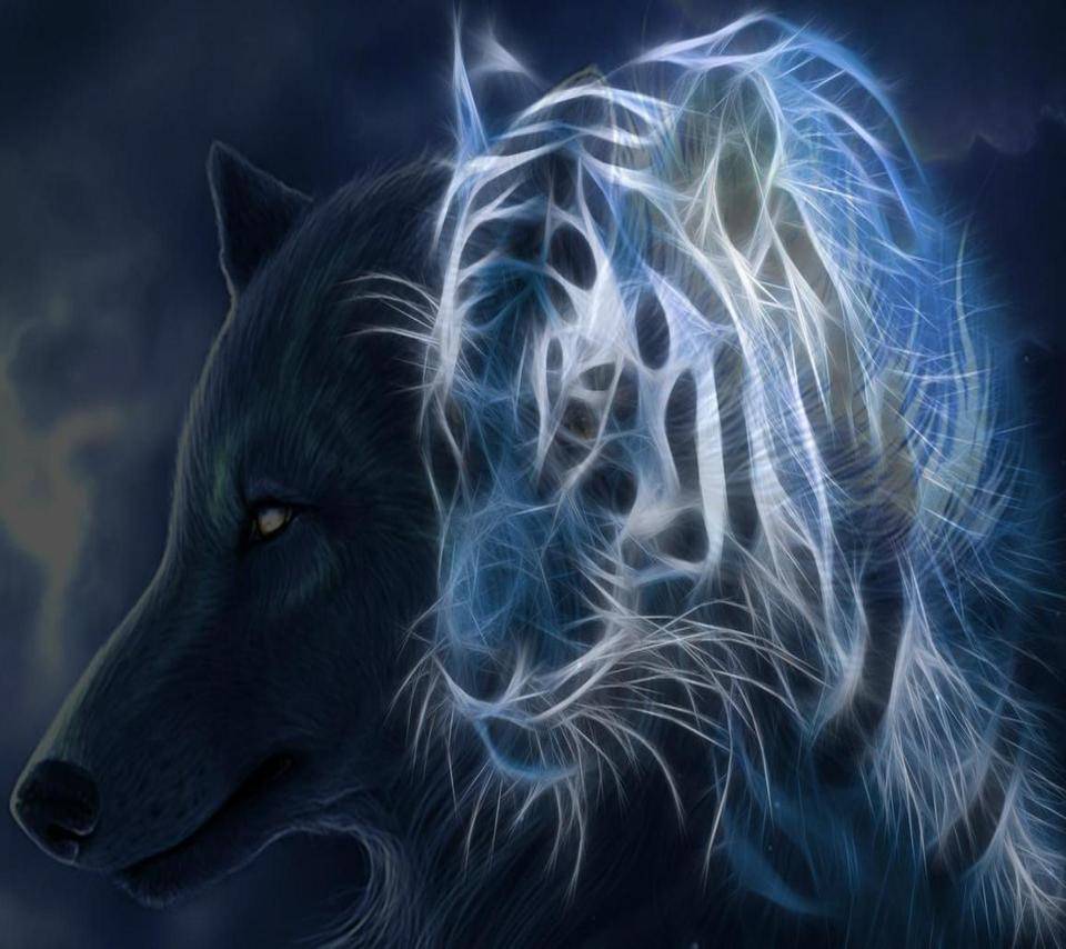 Tiger and Wolf Wallpapers Top Free Tiger and Wolf Backgrounds