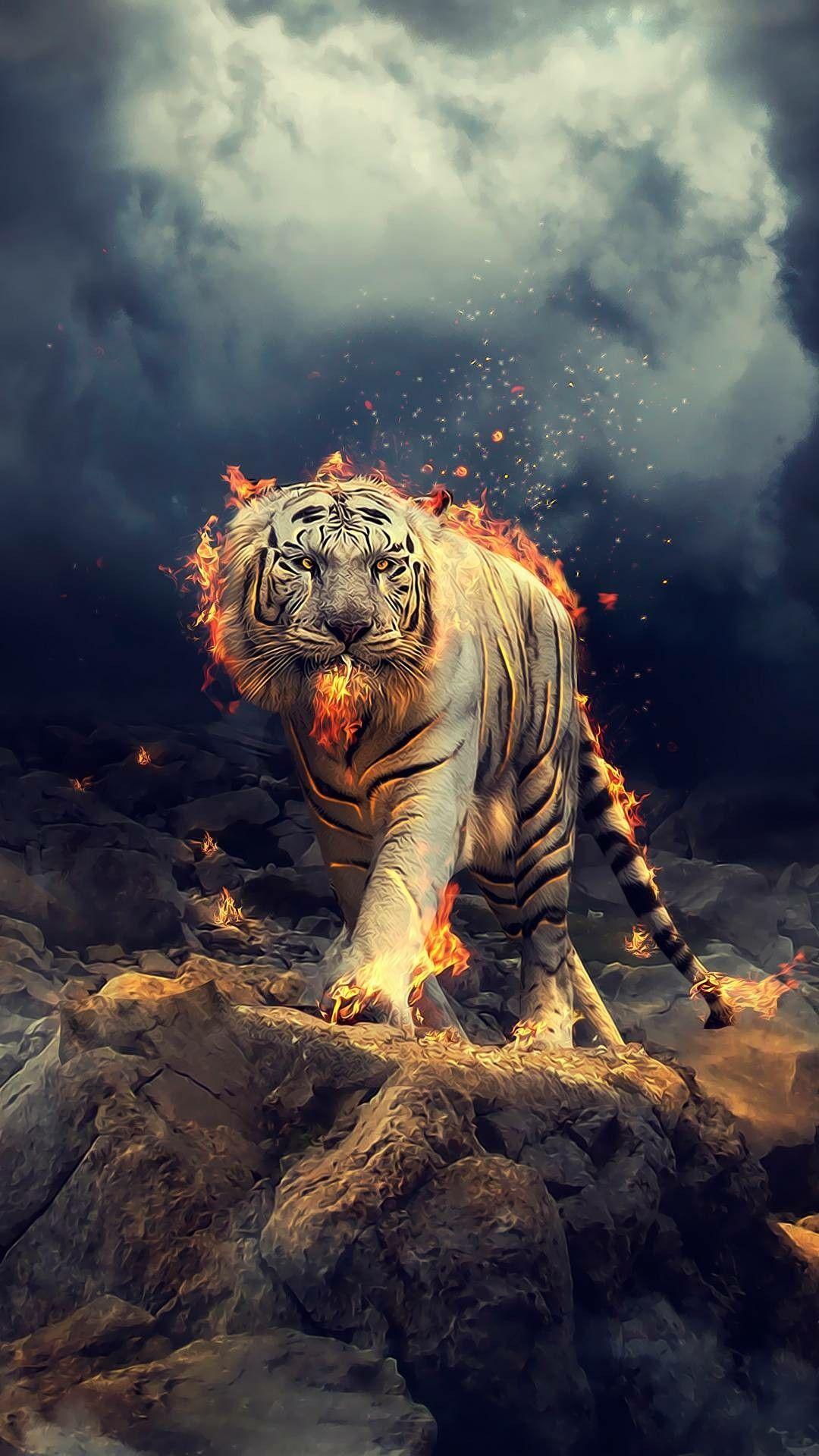 Aesthetic Tiger Wallpapers Top Free Aesthetic Tiger