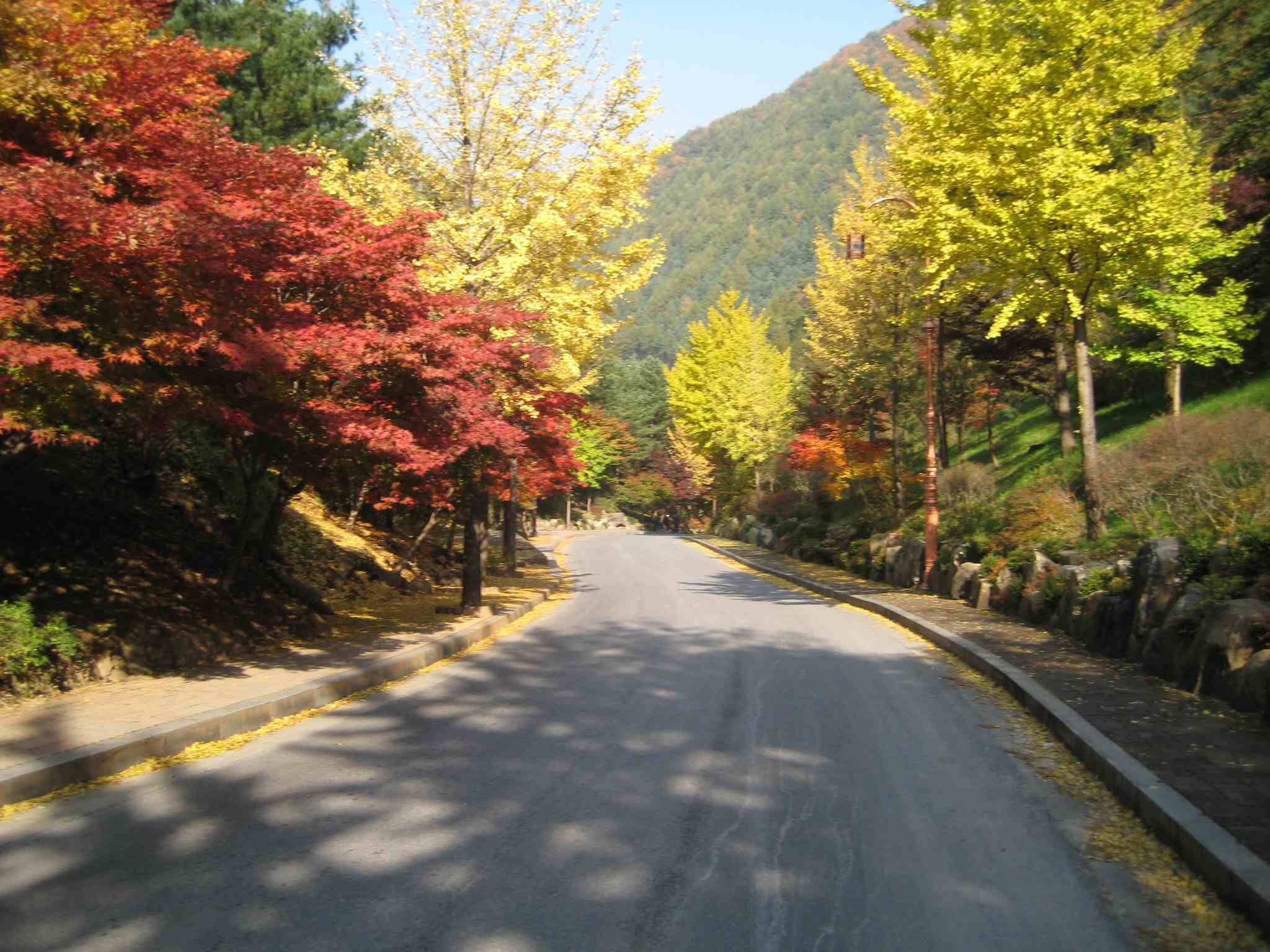 Korean Road Wallpapers Top Free Korean Road Backgrounds WallpaperAccess