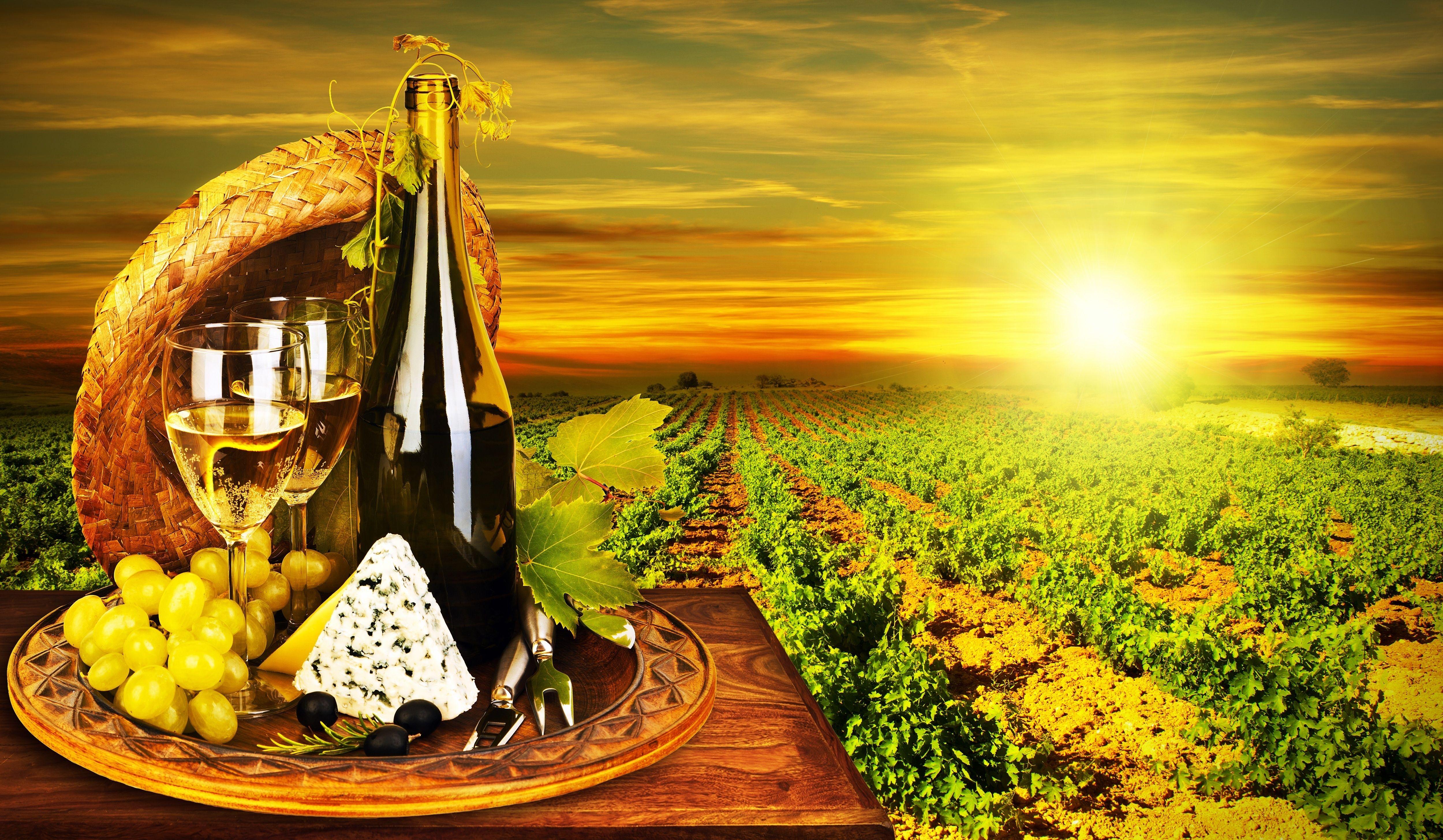Winery Wallpapers Top Free Winery Backgrounds WallpaperAccess
