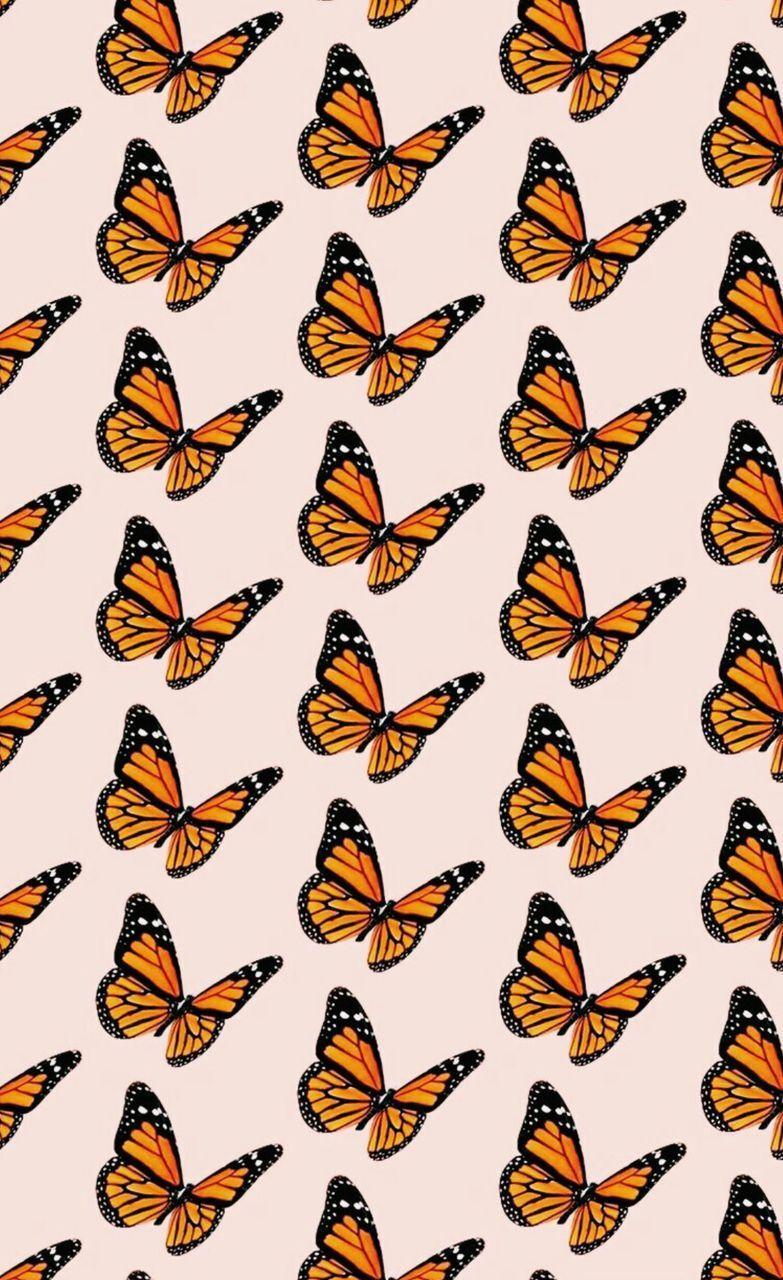 Cute Yellow Butterflies Wallpapers Top Free Cute Yellow Butterflies